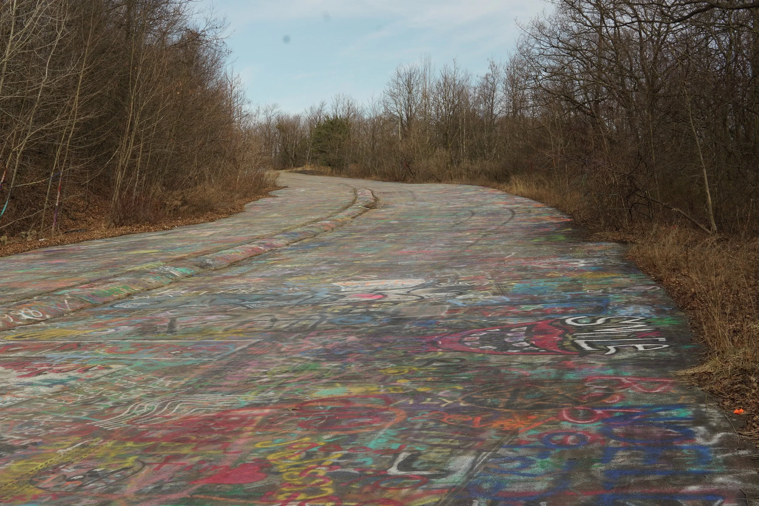 Colorful graffiti covering the concrete surface of a winding road or trail surrounded by leafless trees and a cloudy sky.