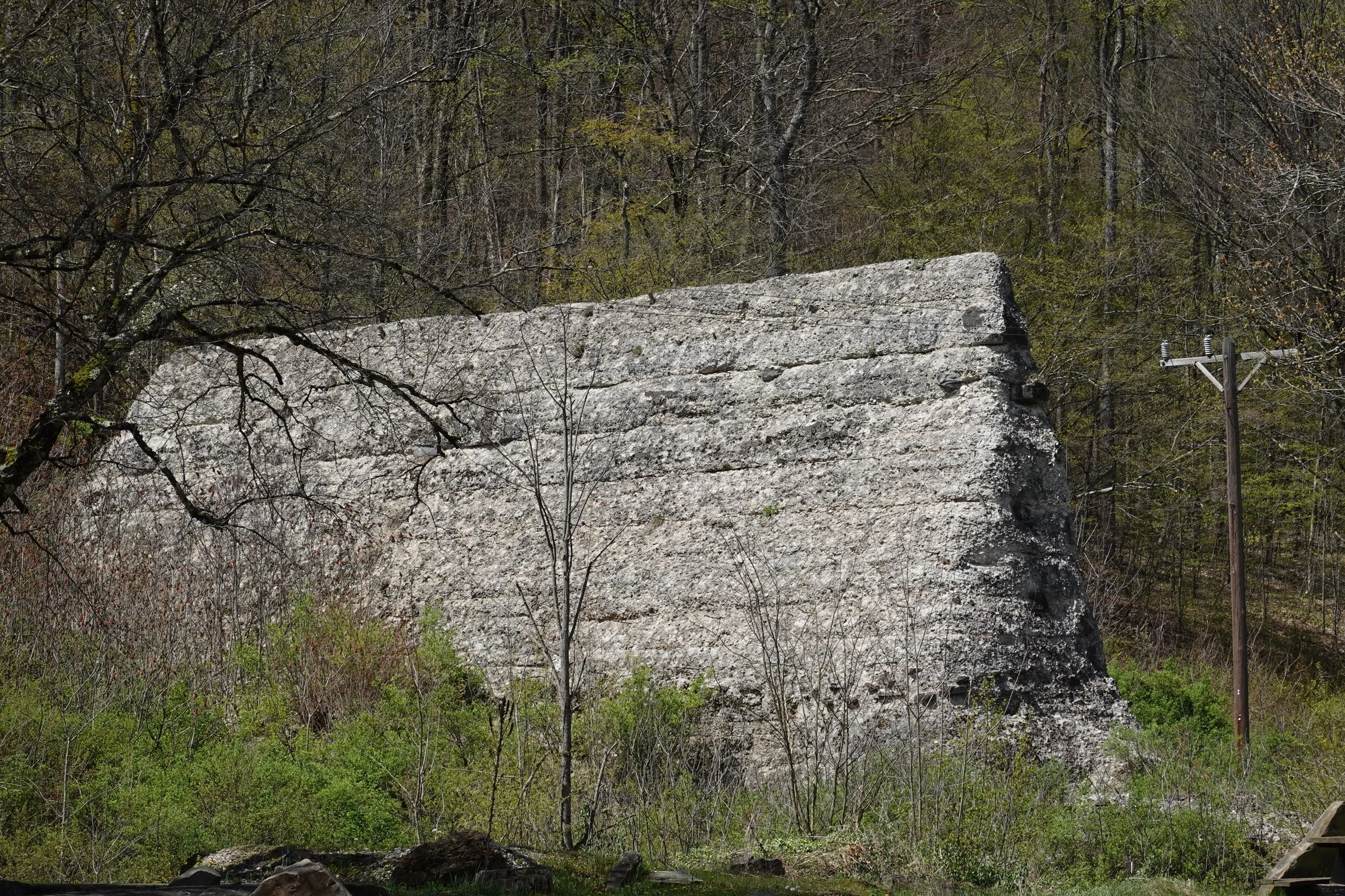 A large rock formation surrounded by trees and greenery, with a utility pole on the right side.