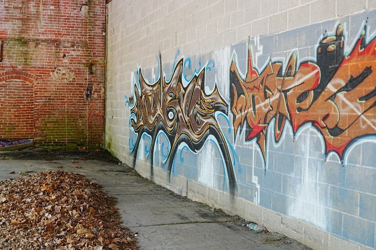 Colorful graffiti art on a brick wall next to a concrete sidewalk with dried leaves in an urban alleyway.