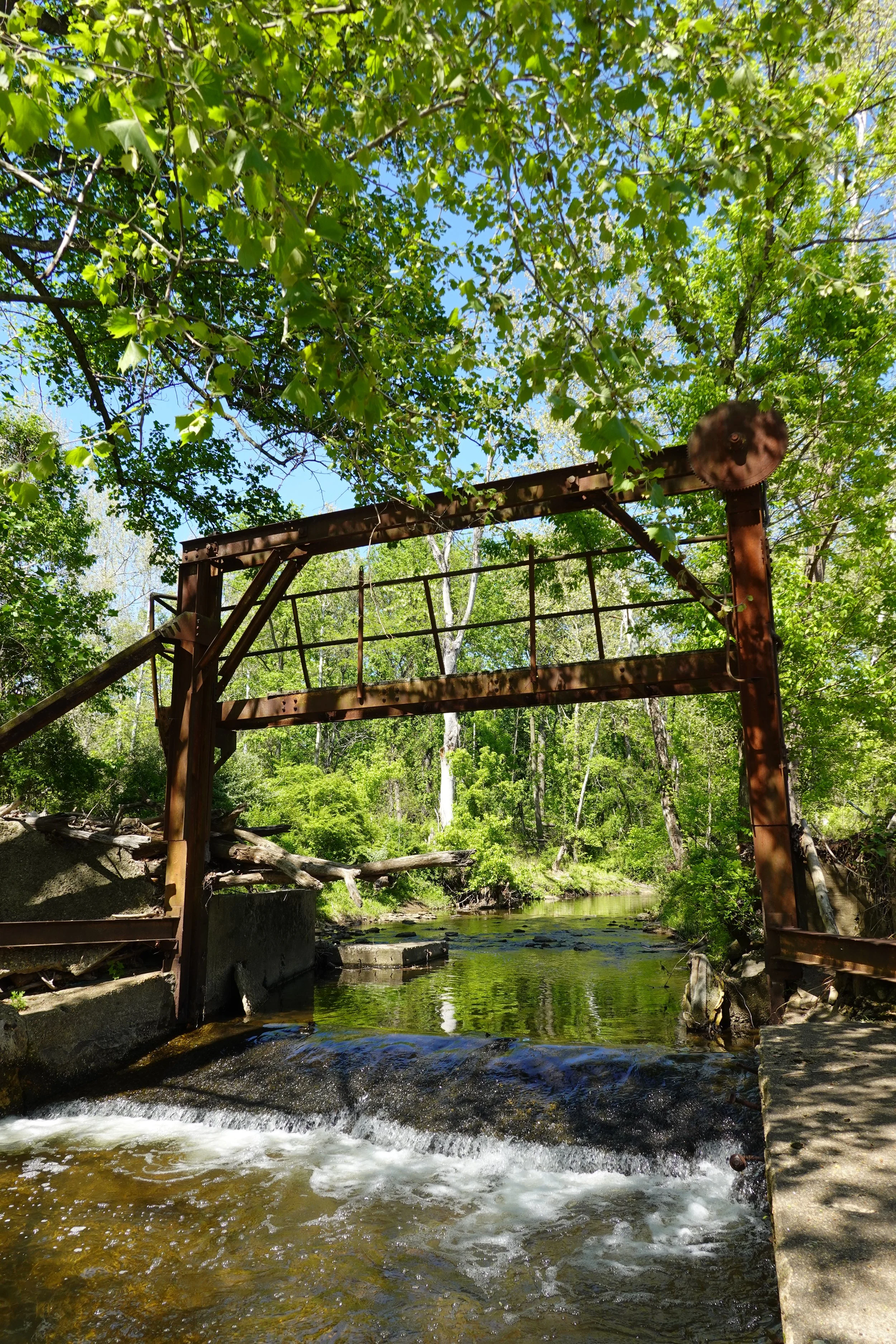 A rusted metal bridge over a small creek in a forested area with lush green trees and blue sky overhead.