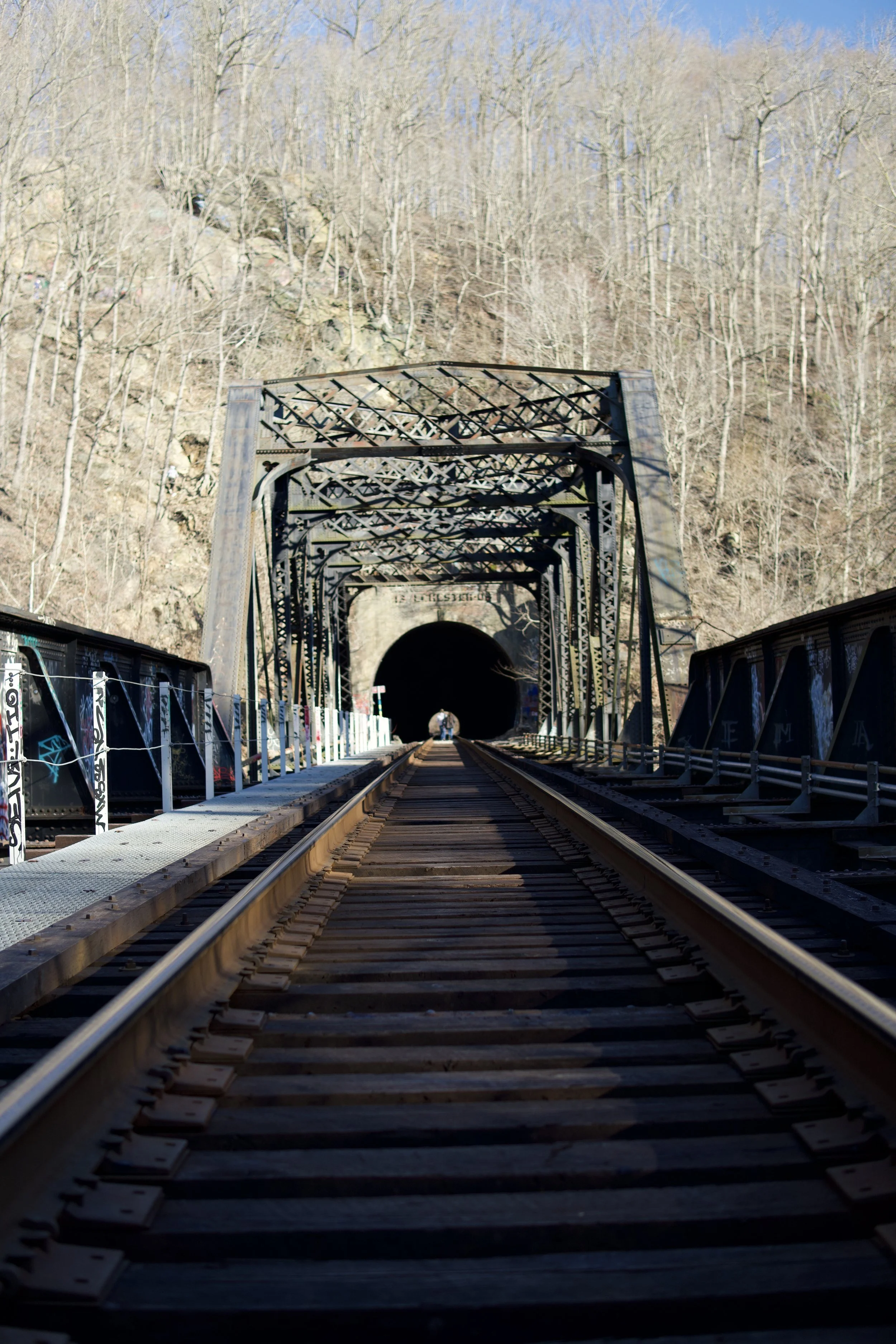 Railroad tracks leading into a tunnel in a wooded area with leafless trees on a clear day.