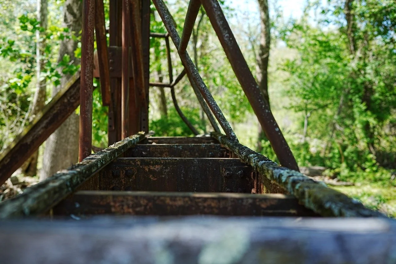 Close-up view of an old, rusty metal ladder outdoors surrounded by green trees and foliage.