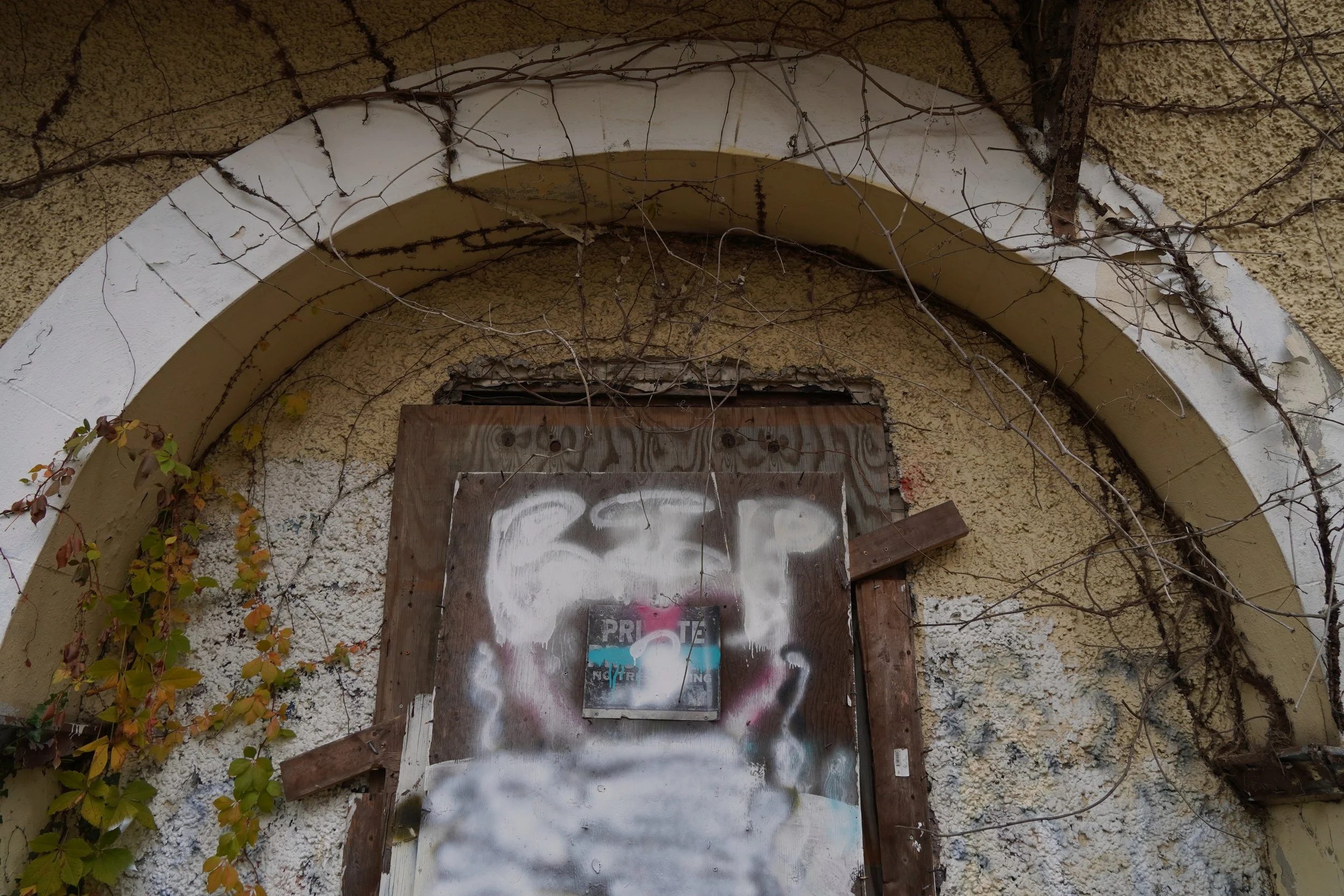 The image shows an old, abandoned building entrance with a boarded-up door, weathered and peeling paint, and overgrown vines and branches covering parts of the archway and wall.