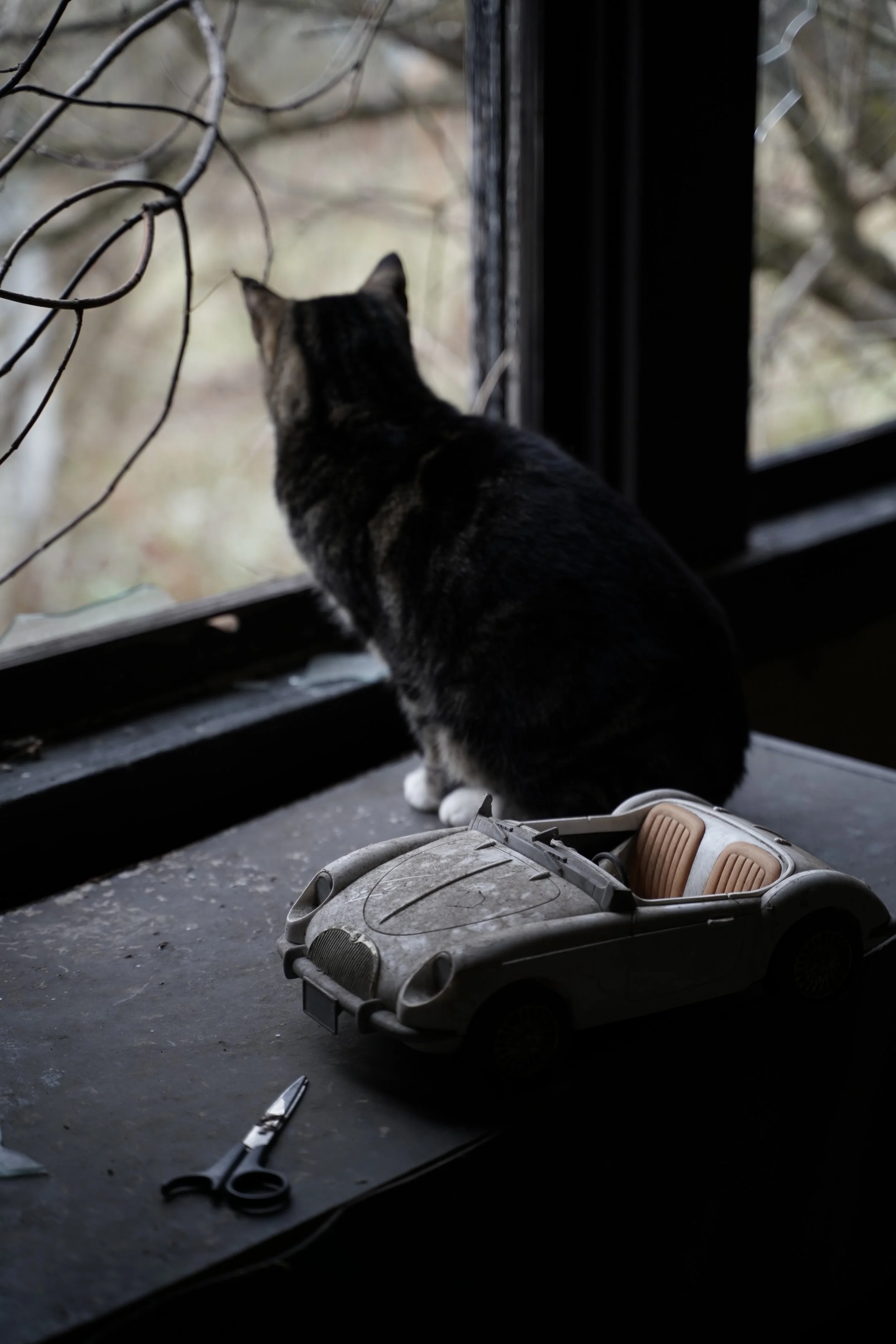 A black and brown tabby cat sitting on a windowsill, looking outside at tree branches. A pair of gray and beige children's toy car, scissors, and a pen are on the surface in front of the cat.