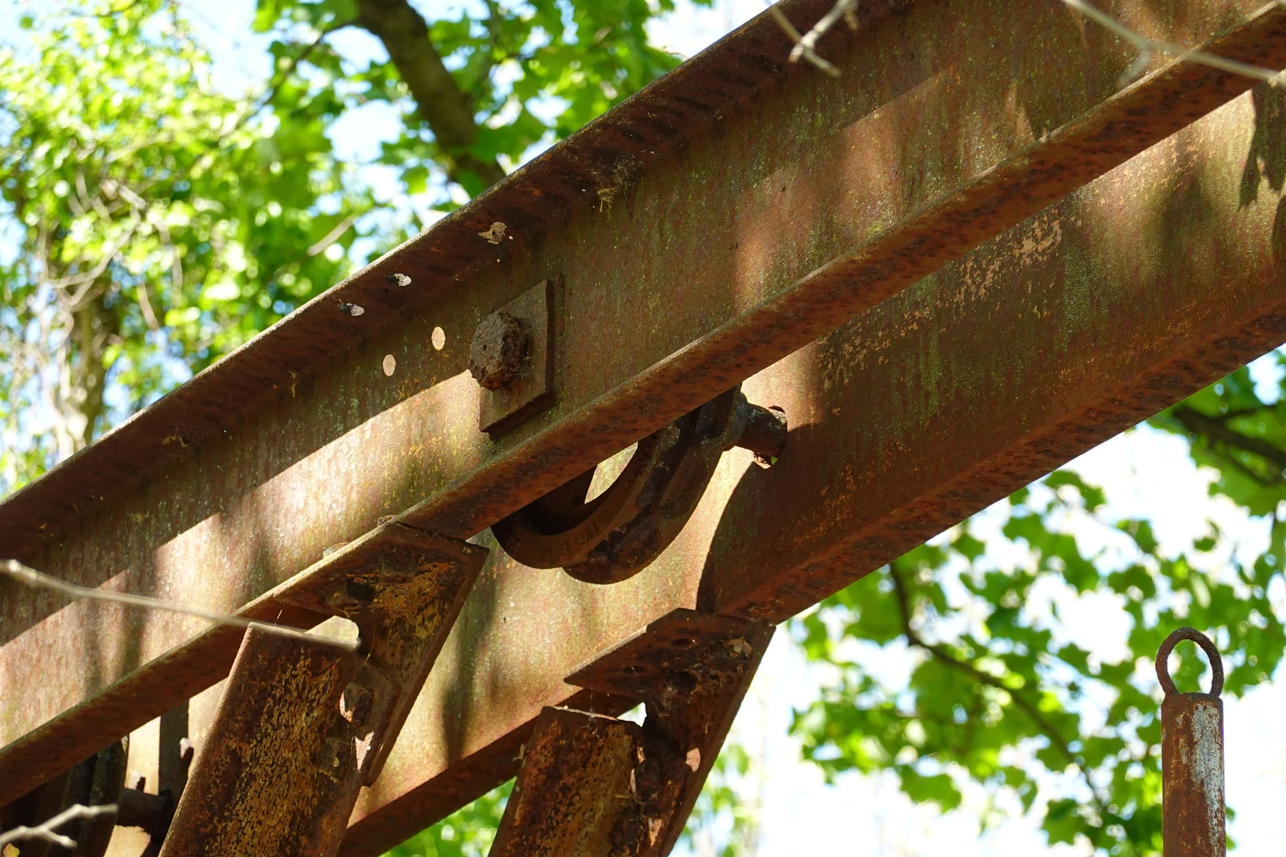 Close-up of rusted metal fence with green leaves and blue sky in the background