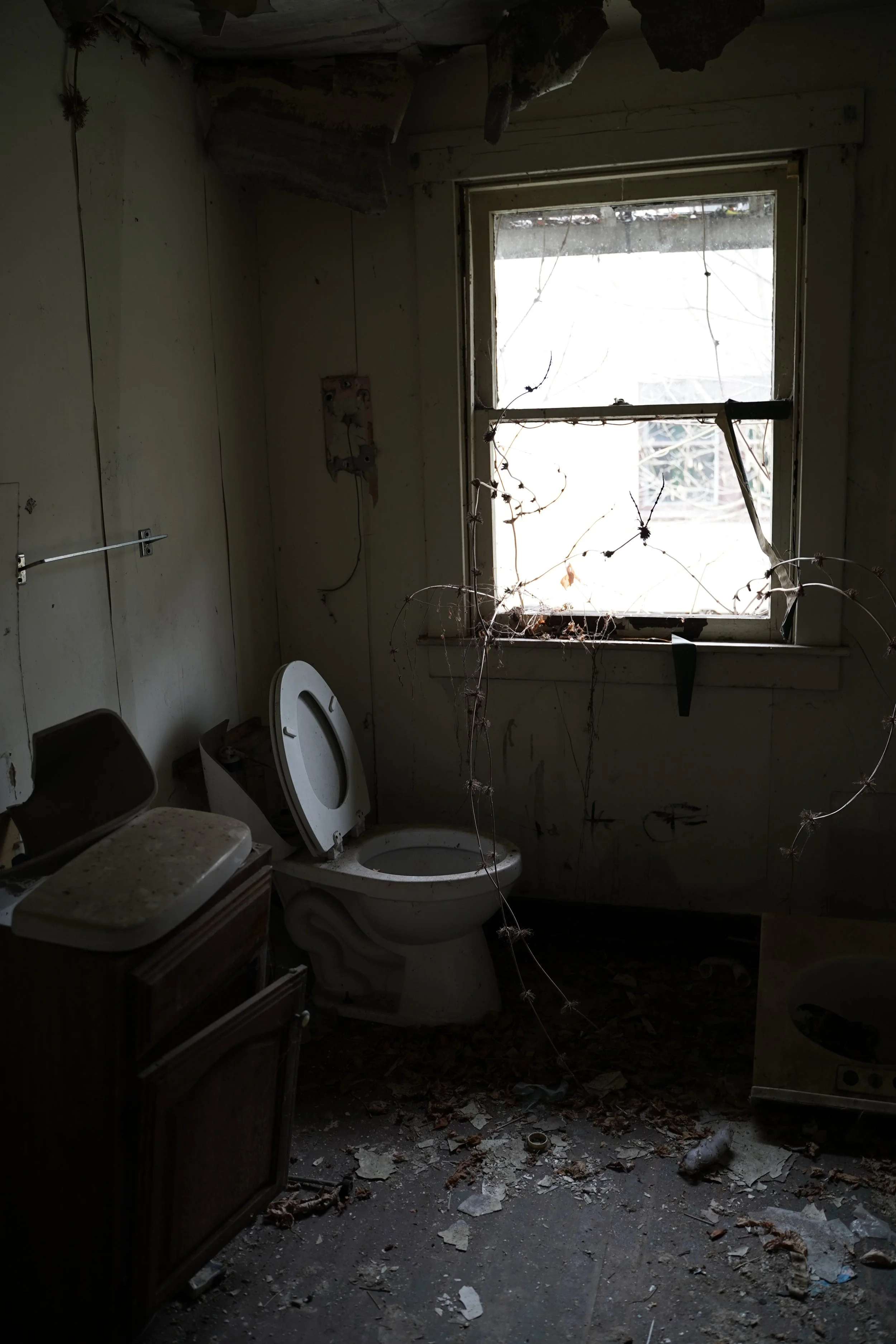 An abandoned bathroom with broken ceiling, dirty floor, dirty walls, and a broken window with dried plants hanging in front. There is a damaged toilet and cabinet with drawers. Debris and dirt cover the floor.