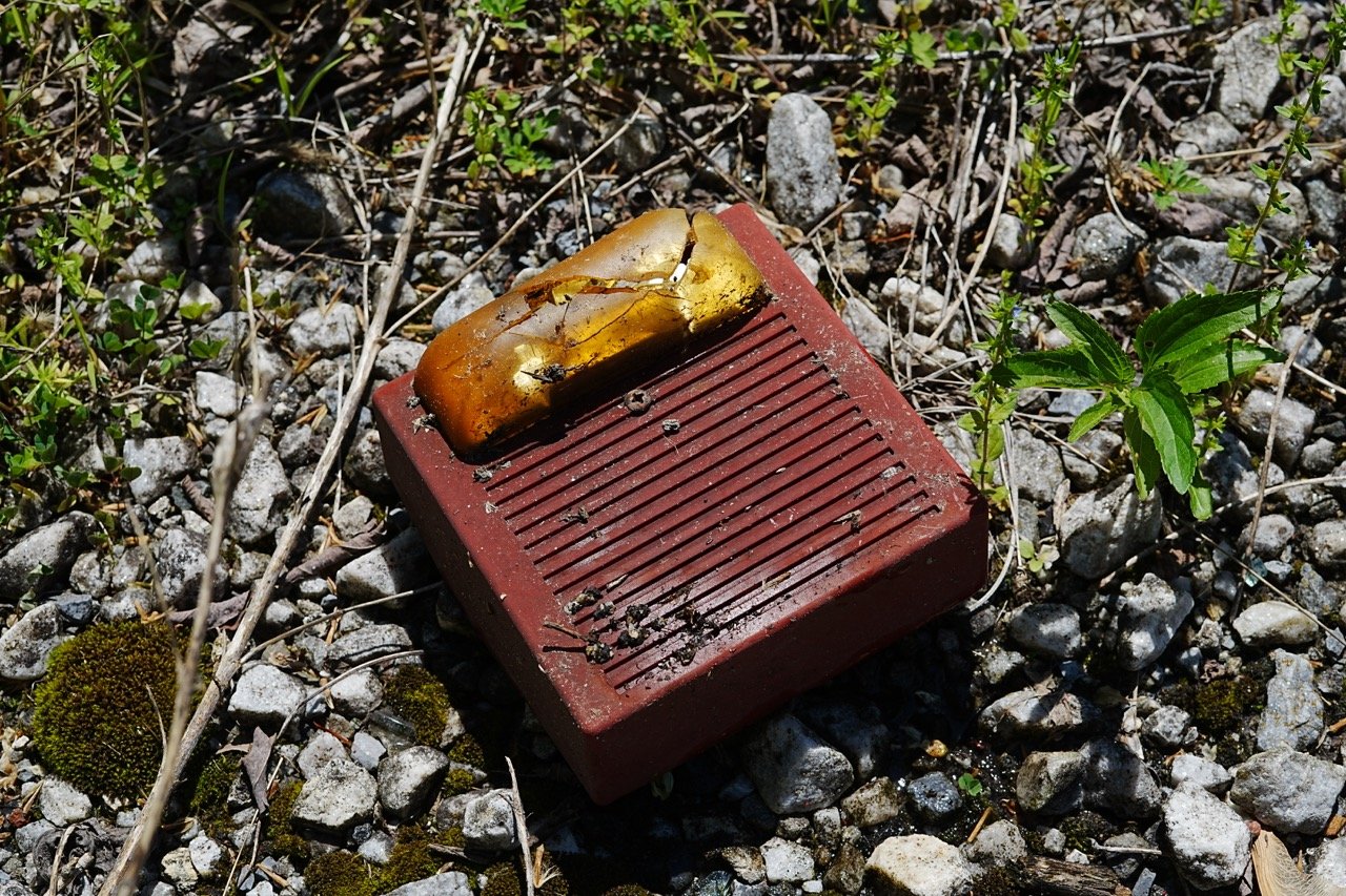 An old, dirty, broken smoke alarm with a cracked and burnt cover, laying upside down on gravel and small plants.