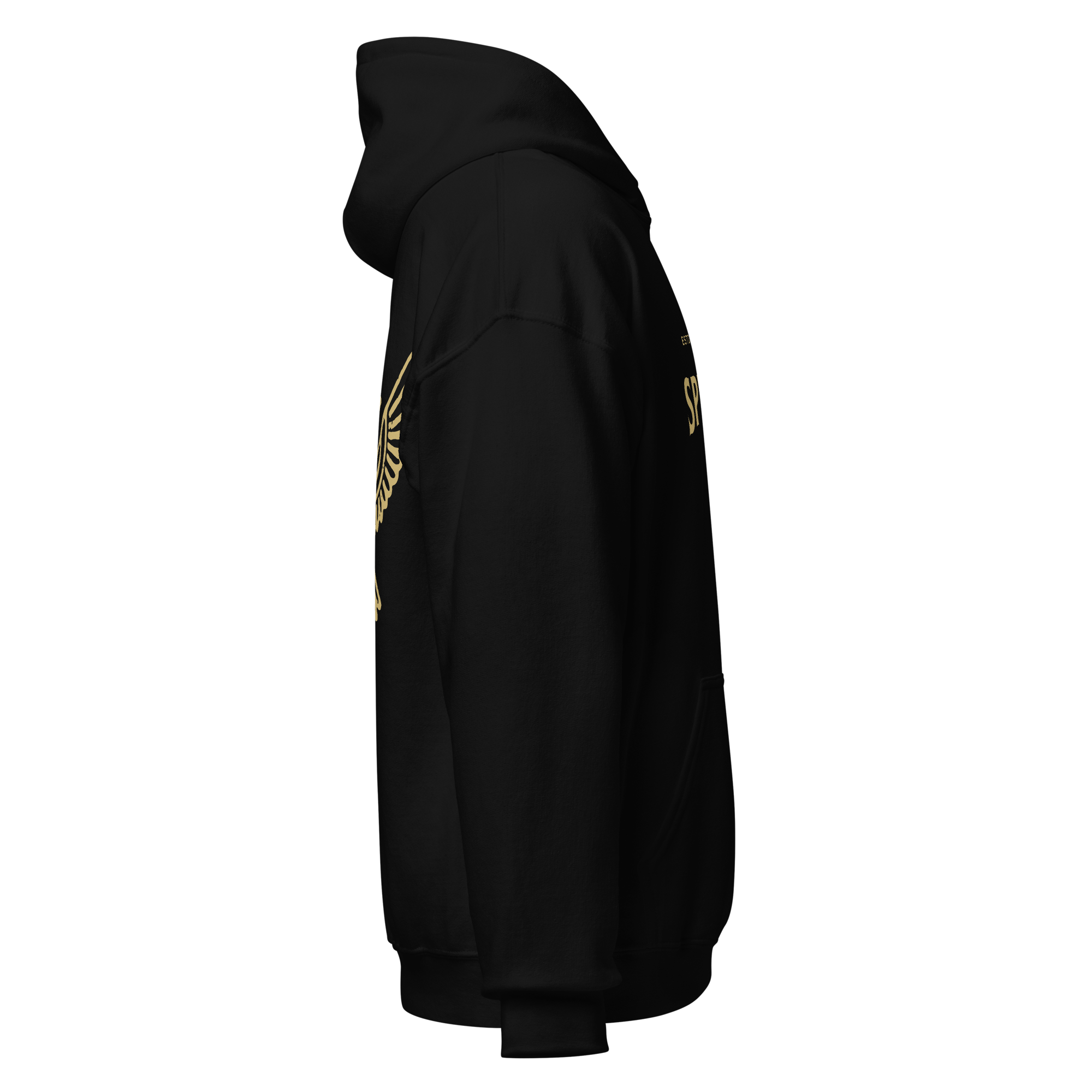 SPIRITED LOGO HOODIE