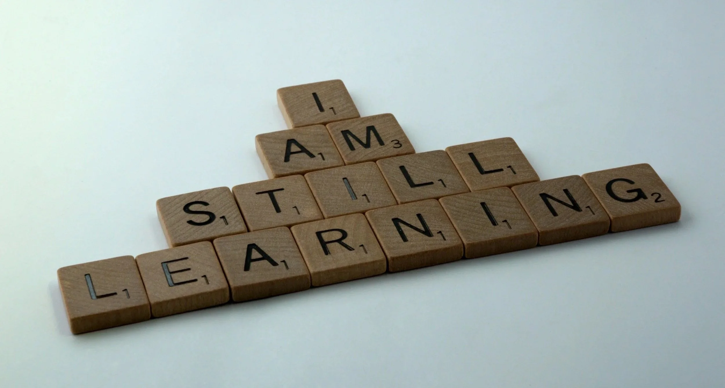 Learning Experience