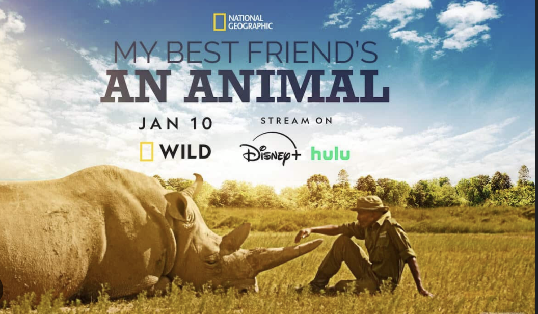 Nat Geo, Disney + I My Best Friend's an Animal S1 & S2
