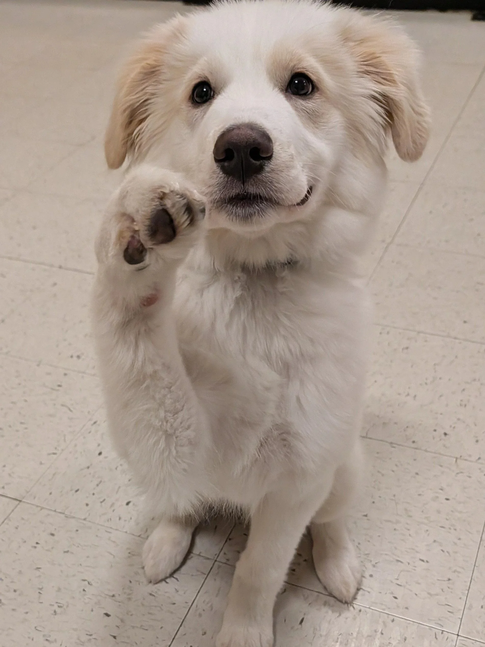 Cutie Class