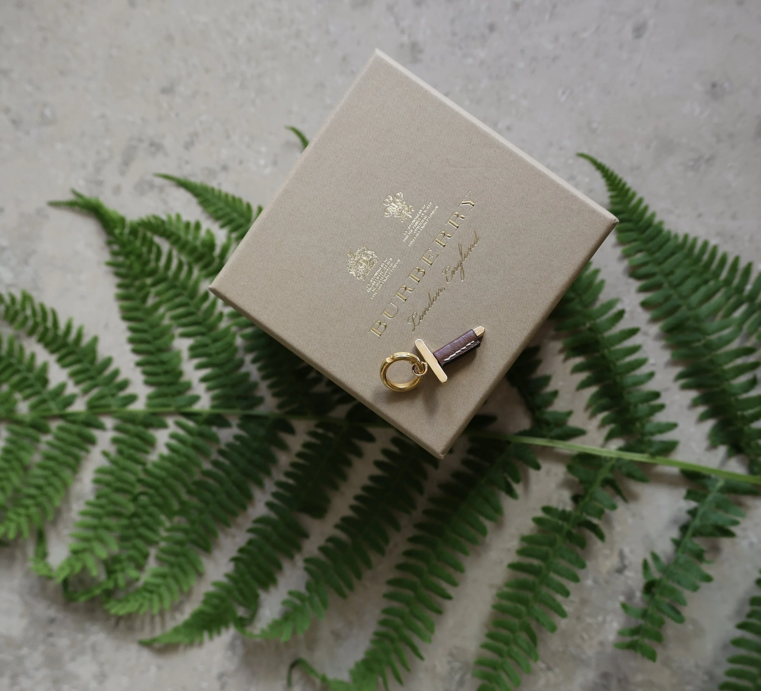 A beige Burberry box with gold logo and a keychain with the letter 'C' on it, placed on green fern leaves on a gray surface.