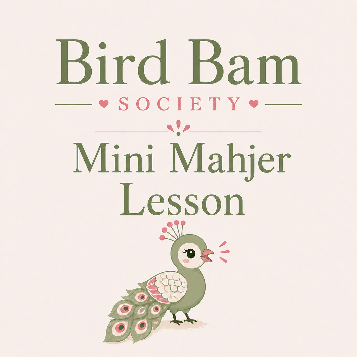 Mini Mahjer Lesson