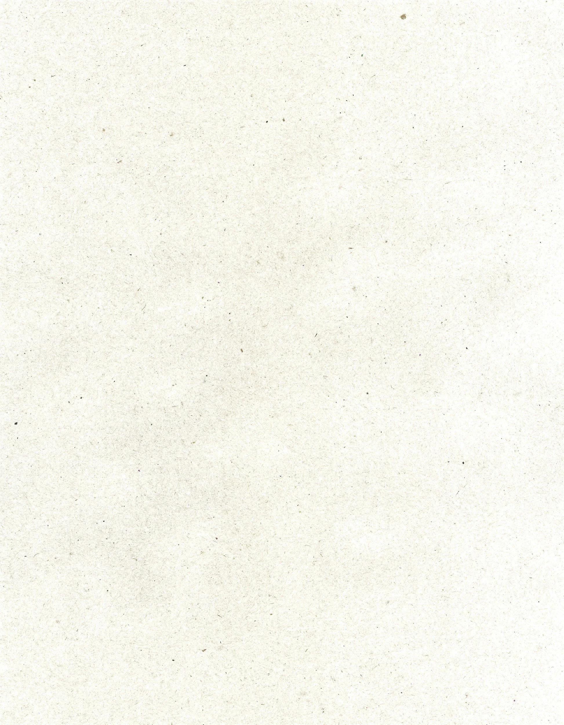 A blank, slightly speckled off-white textured paper background.