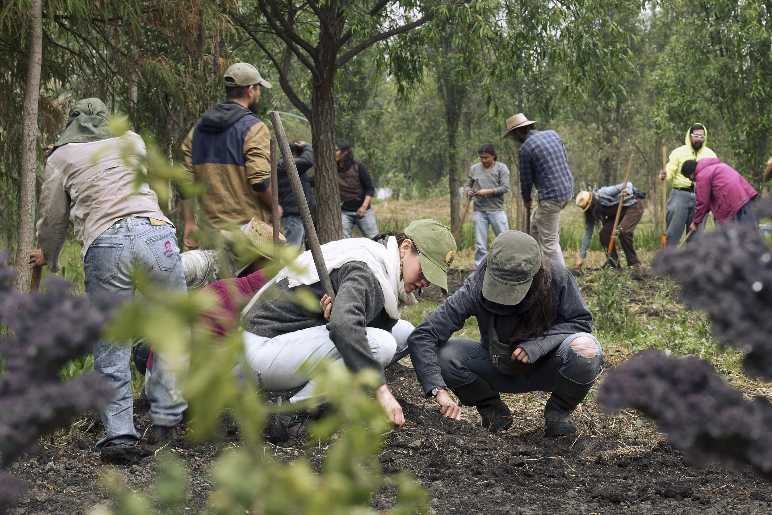 The creation of the first chinampa farming school has been an important milestone in
the struggle to safeguard the future of the Chinampería. Attracting people of all ages,
especially youngsters to stay in, or enter, a life of farming can be a diffic
