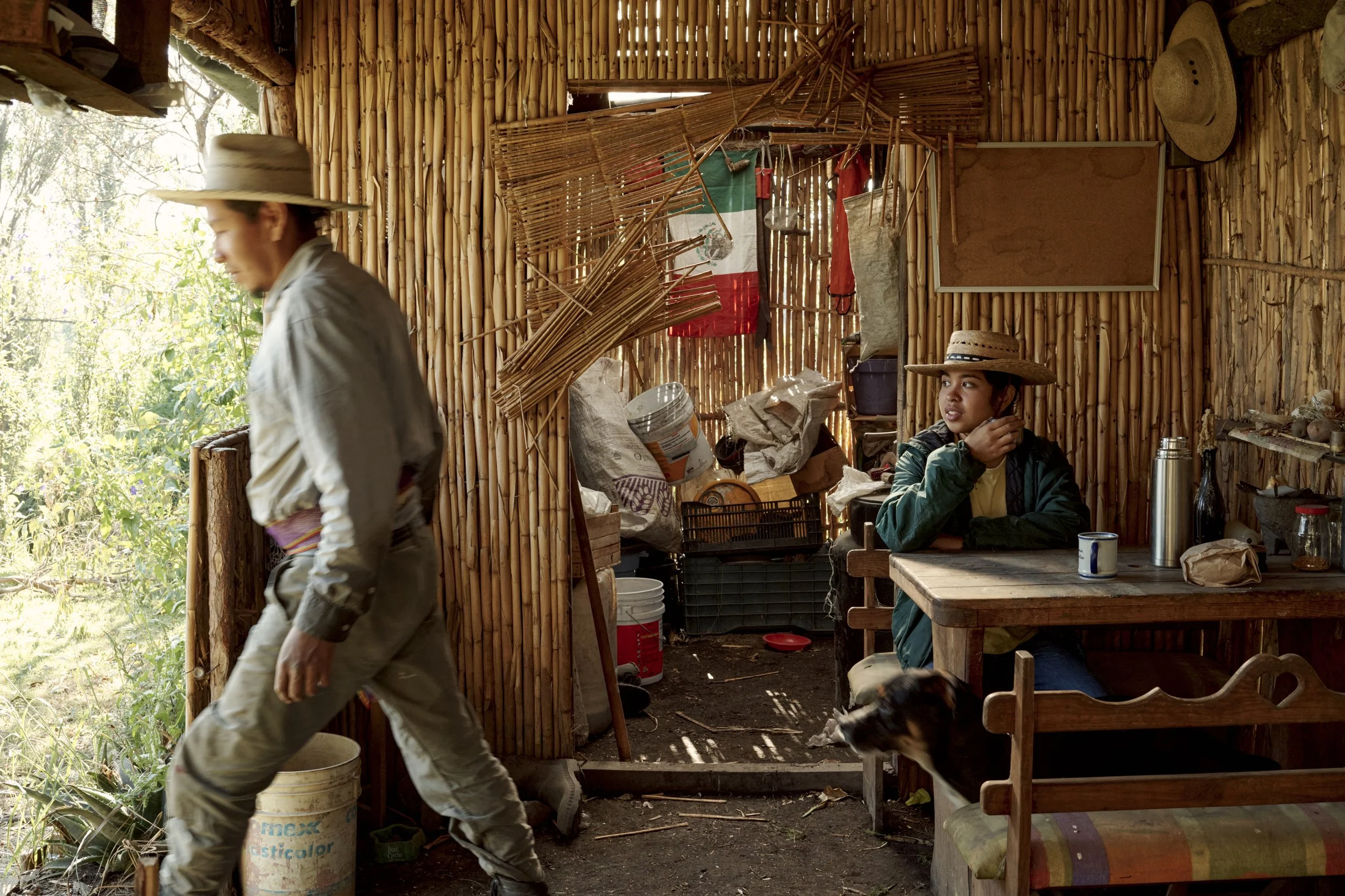 “My dad, as a chinampero and as a person, has completely influenced how I think and how I relate to living beings. It is because of him that I studied biology, due to this connection I have always had with nature. Here in the chinampa, it's an infini