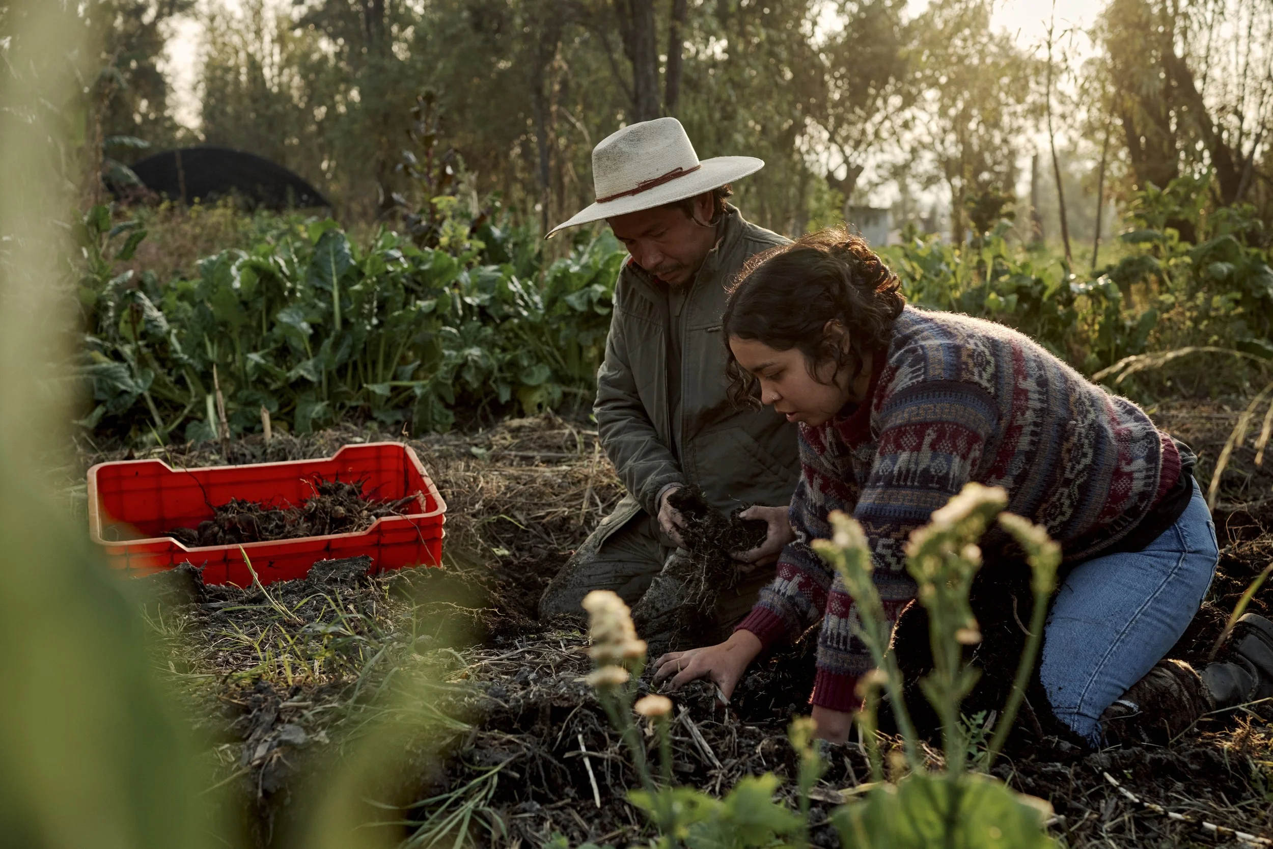 Felipe and Mixtli working on their family’s
chinampa.
“When I was a child I grew up with my grandfather's stories, talking about the chinampa, how delicious he ate, what he planted, this abundance, I imagined a paradise. And in some way, I want to ma