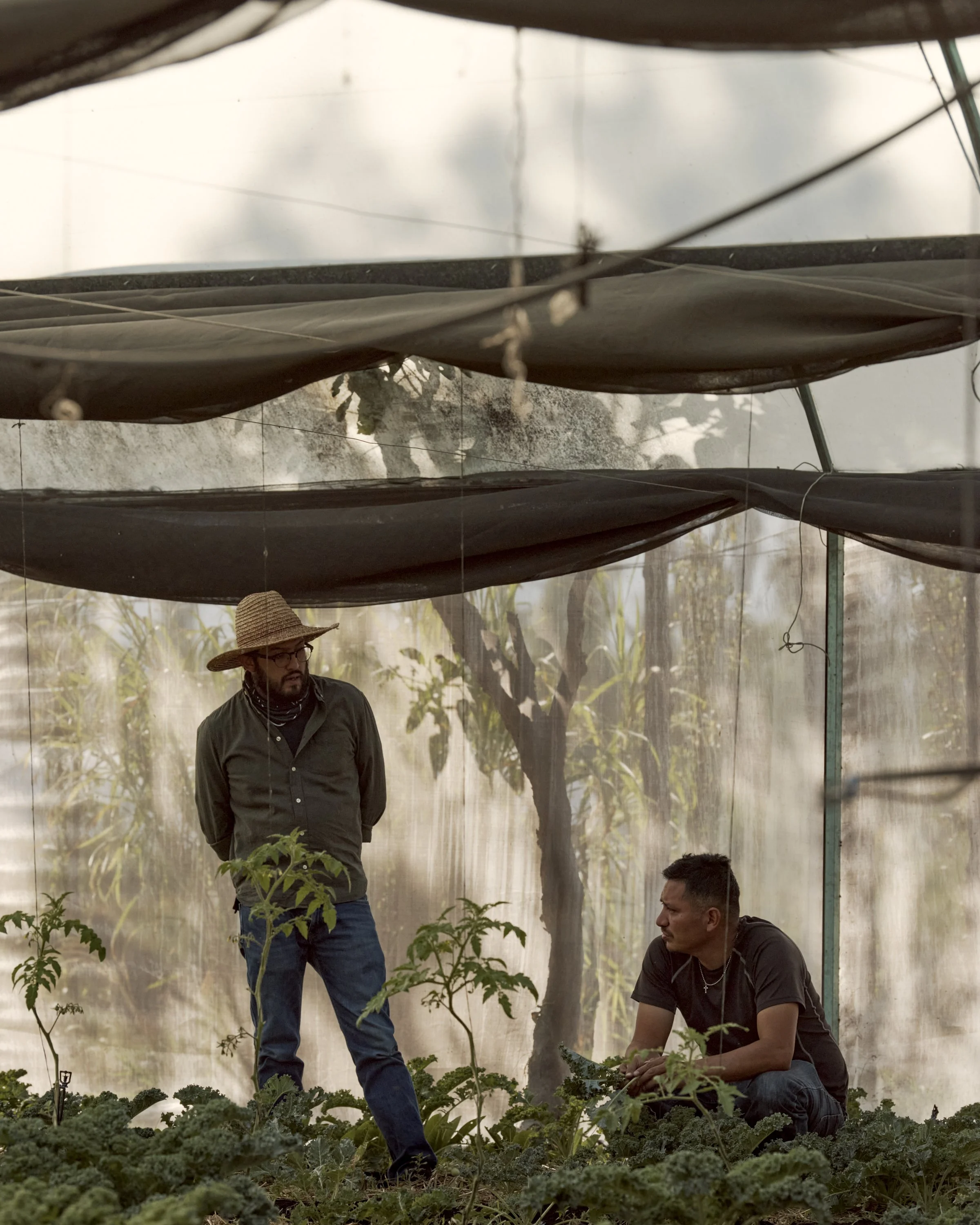 Established in 2017, Colectivo Ahuejote is a local NGO initiative working to reactivate
and empower Chinampera agriculture. Its co-founder Raúl Mondragon (left) is seen here talking to one of the
collective’s members Ernesto Reyes Perez on his chinam