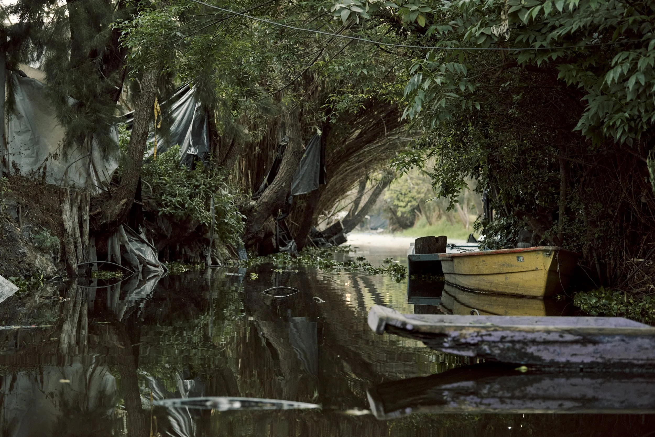 Illegal Housing in the Chinampas.
Although building and human habitation is restricted in the Chinampas wetland, poorly
constructed and illegal housing is common, leading to trash and sewage being dumped
into the canals, polluting the water and negat