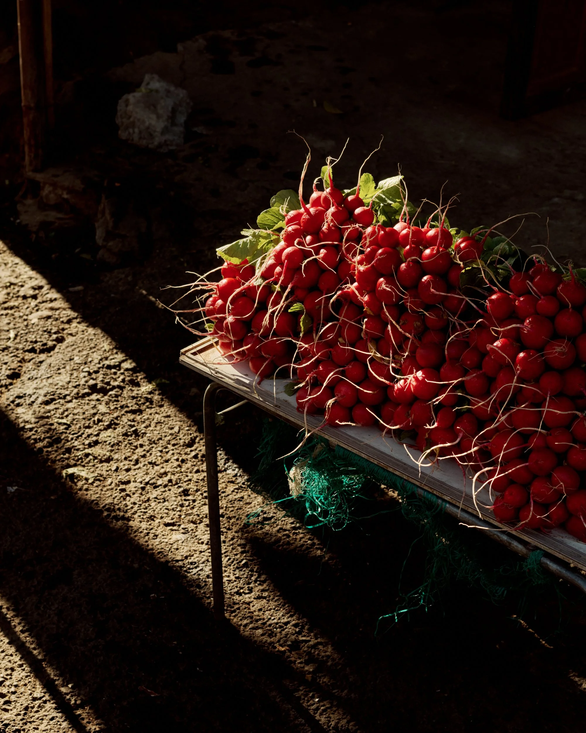 Fresh radishes at the San Gregorio Atlapulco market.