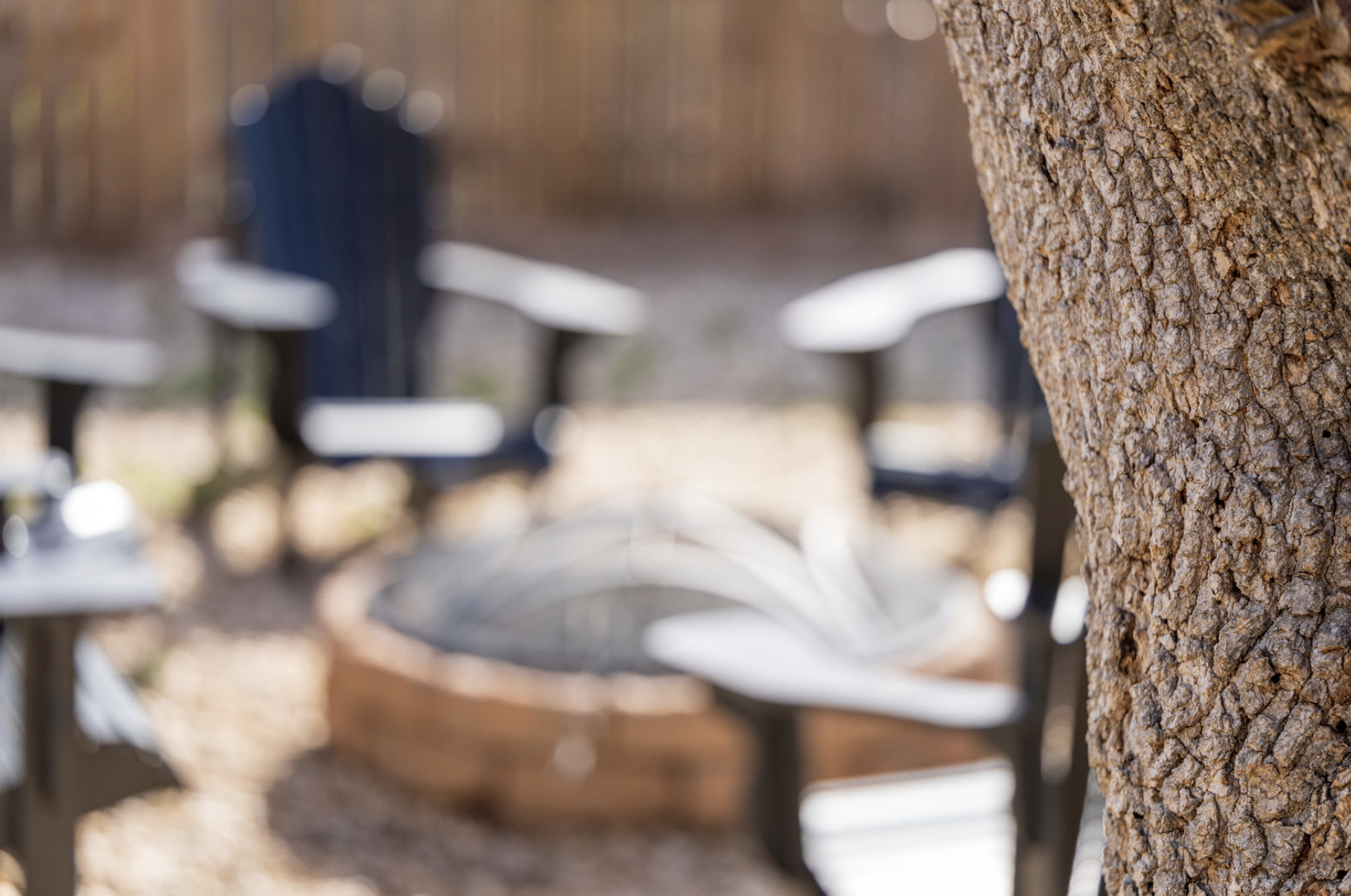 Close-up of tree bark with blurred park benches and wooden fence in background.