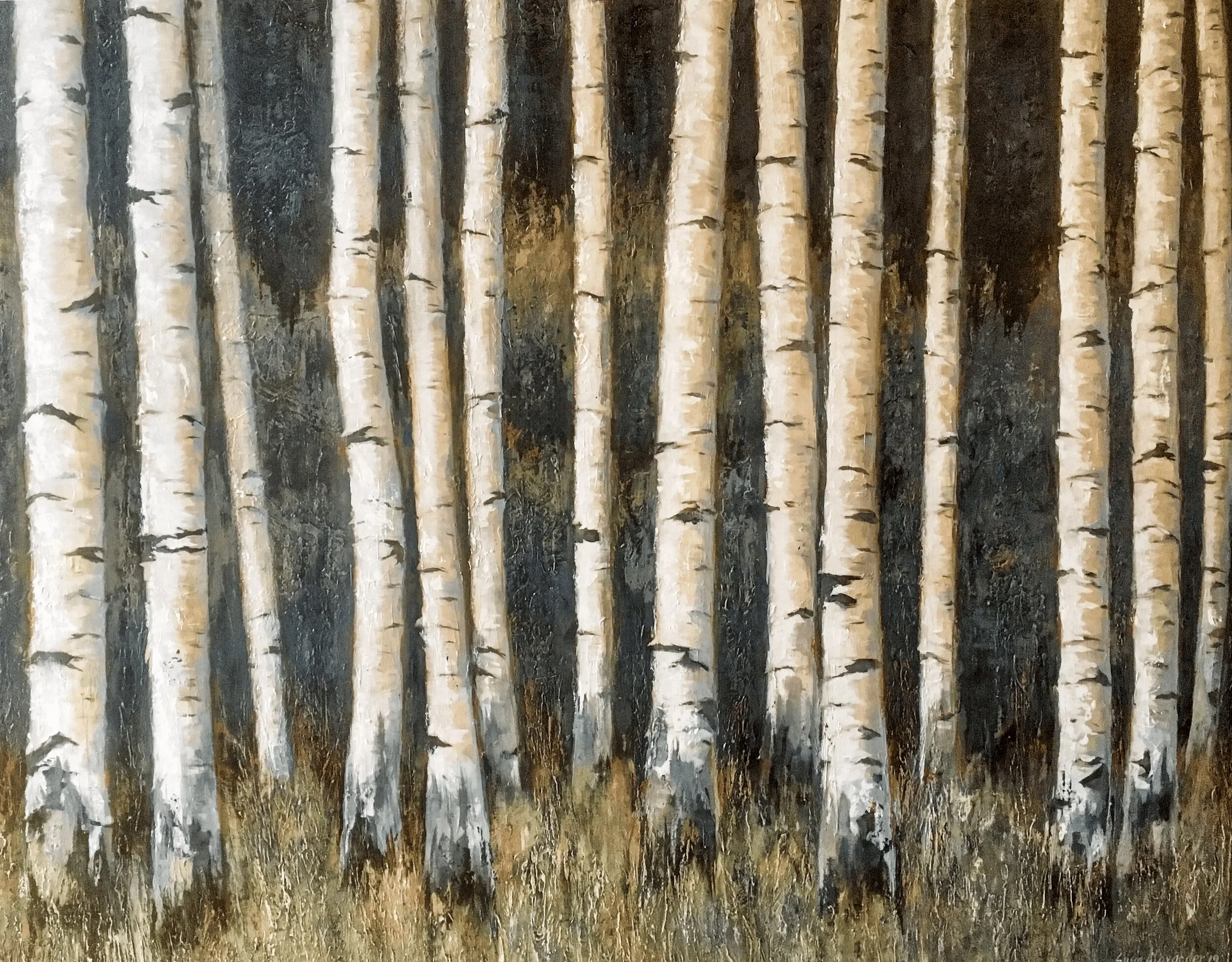 A close-up painting view of birch trees with white bark and dark markings, with some areas showing peeling bark, set in a natural outdoor setting with grass at the base.