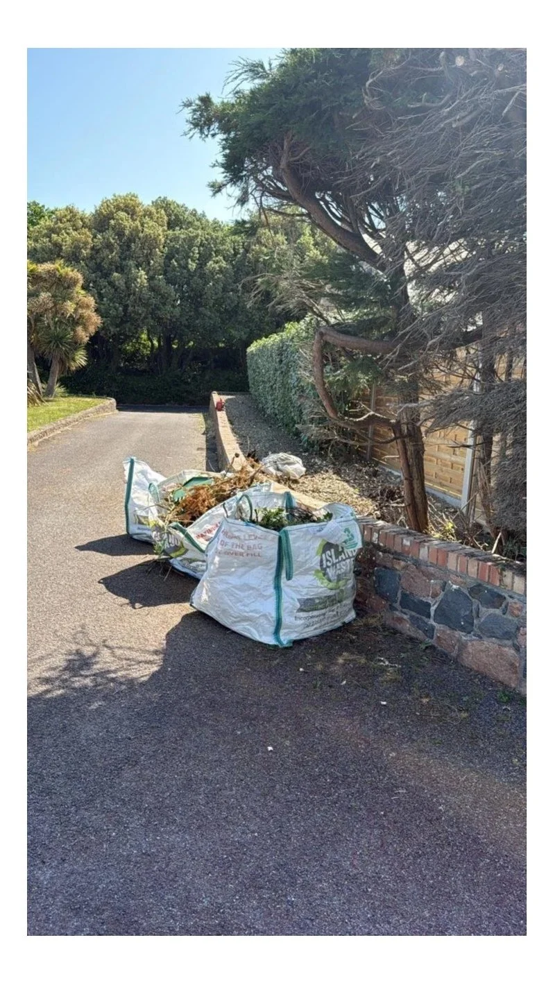 Garden service and hedge cutting