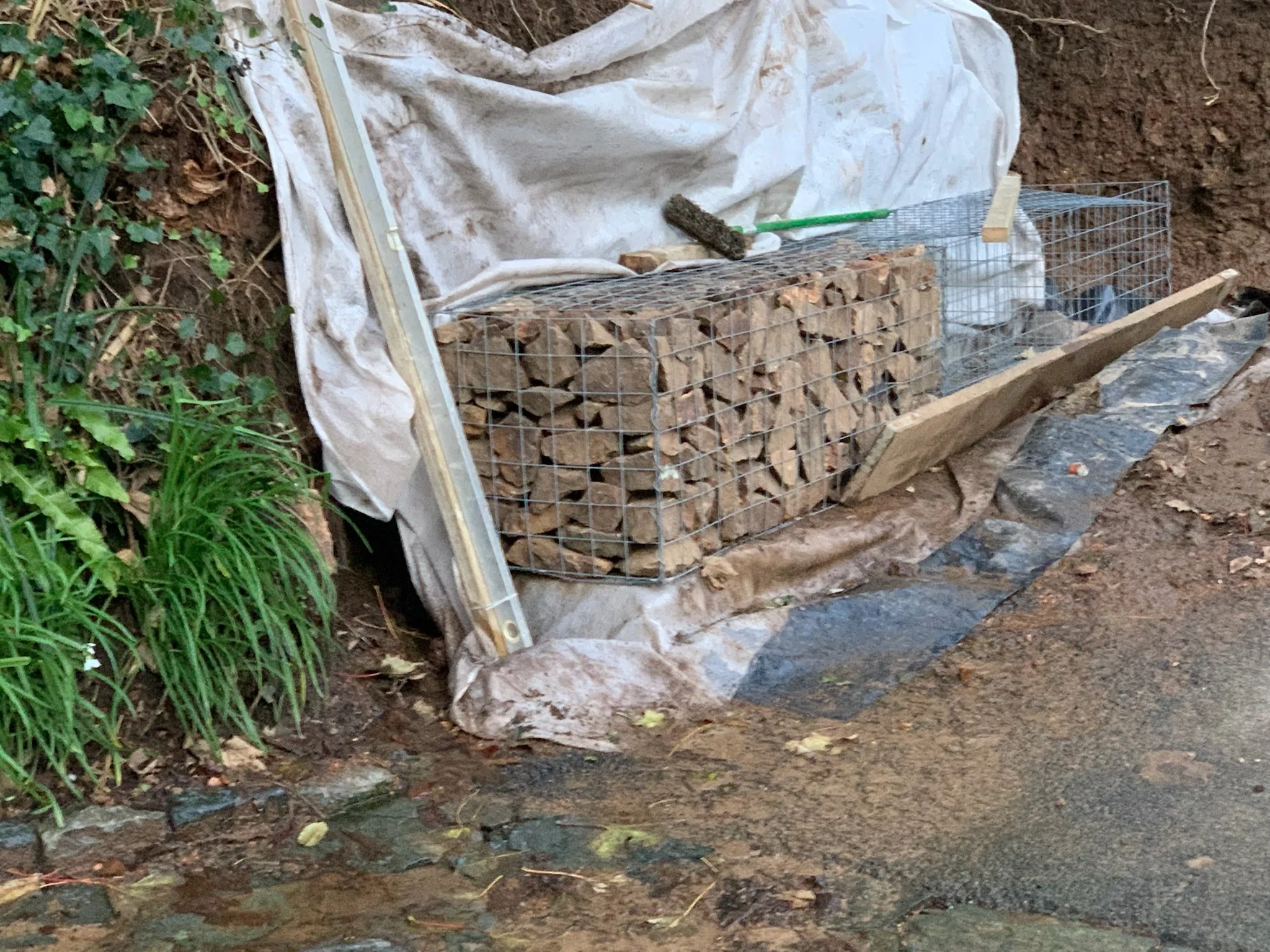 A chicken wire enclosure filled with stacked firewood, situated on a dirt area with a white tarp beneath it, next to green plants and leaves on the left side.