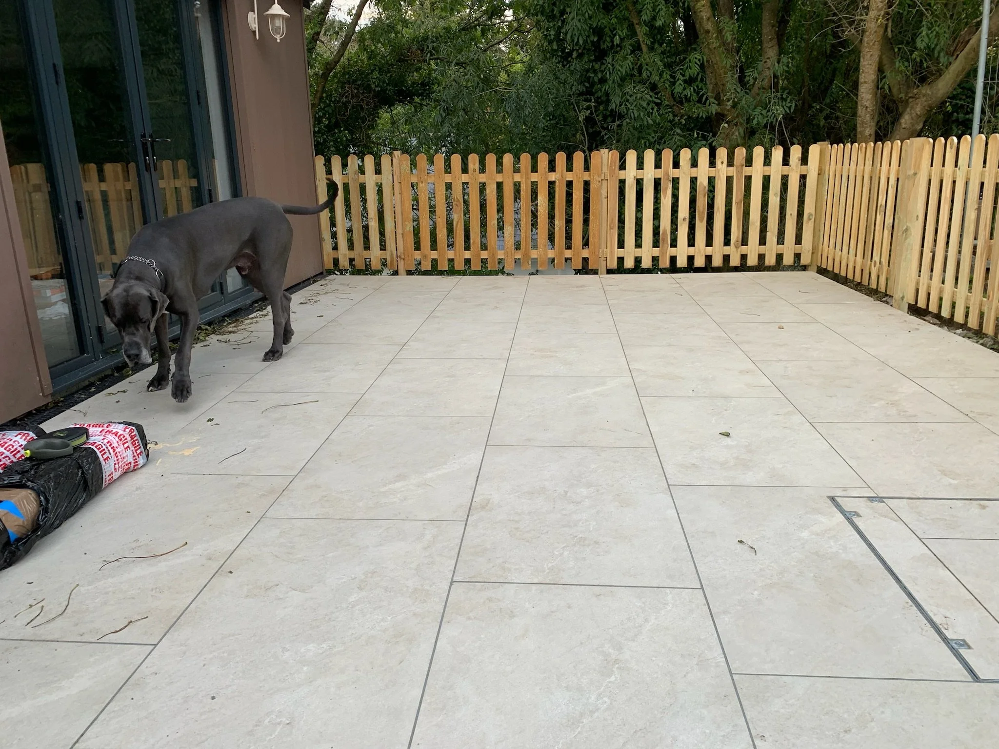 A backyard patio area with large beige tiles, a wooden fence, and a gray dog with a chain collar standing near sliding glass doors. There are trees and greenery in the background.