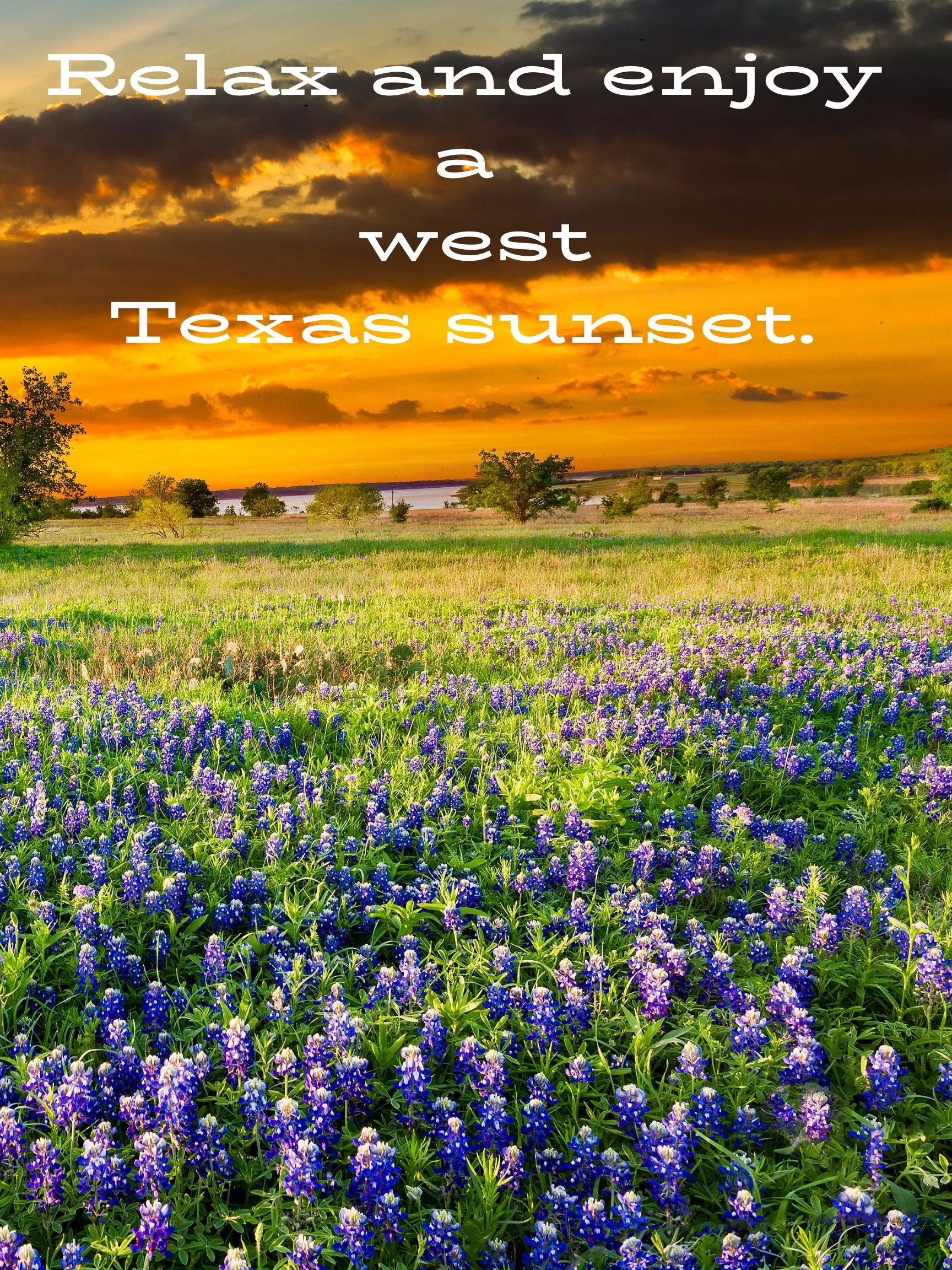 A scenic landscape of a Texas sunset with a colorful sky, dark clouds, and a field of bluebonnet flowers in the foreground, with trees and a body of water in the distance.