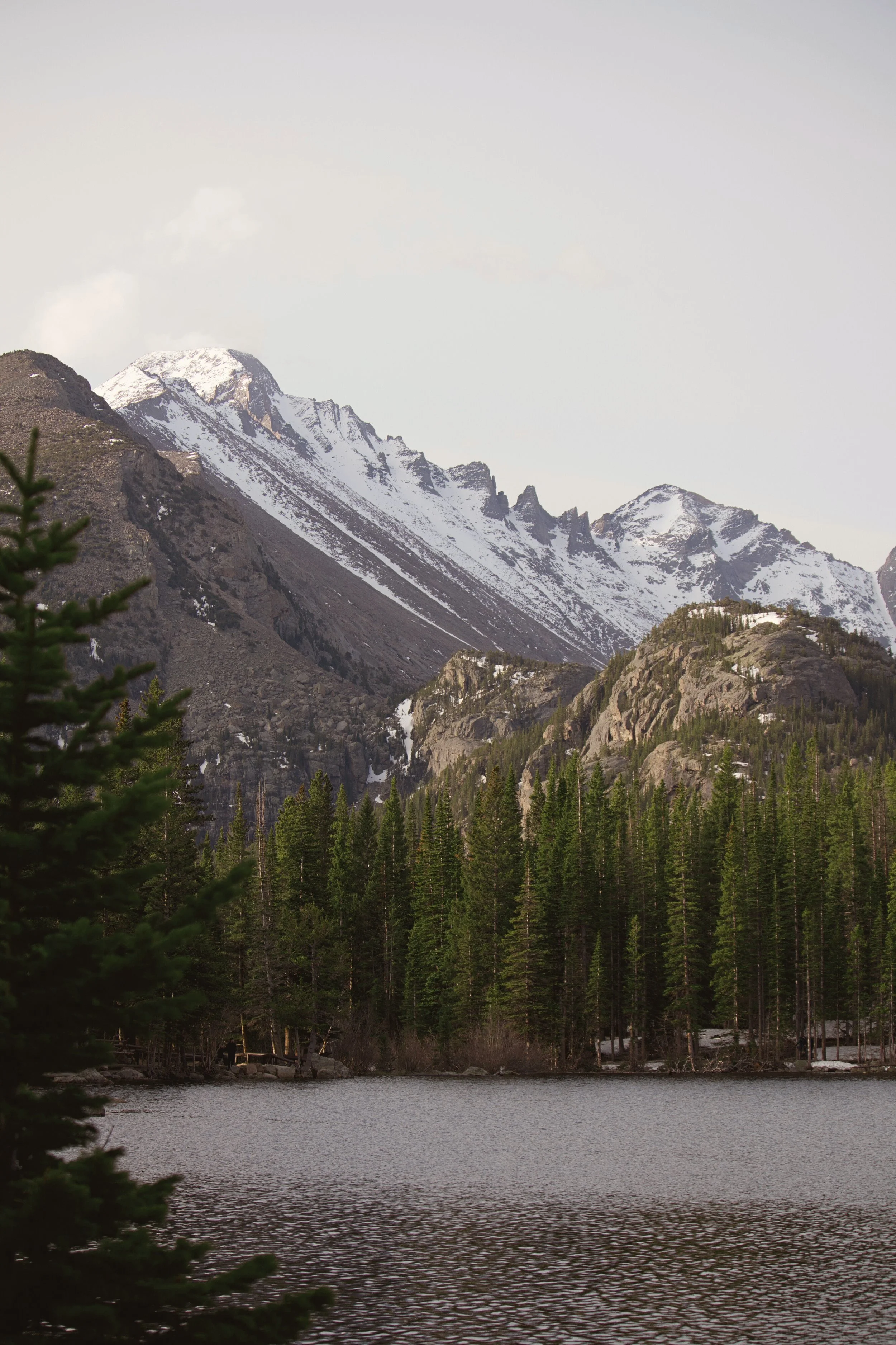 Snow-capped mountain range with pine trees and water in the foreground.