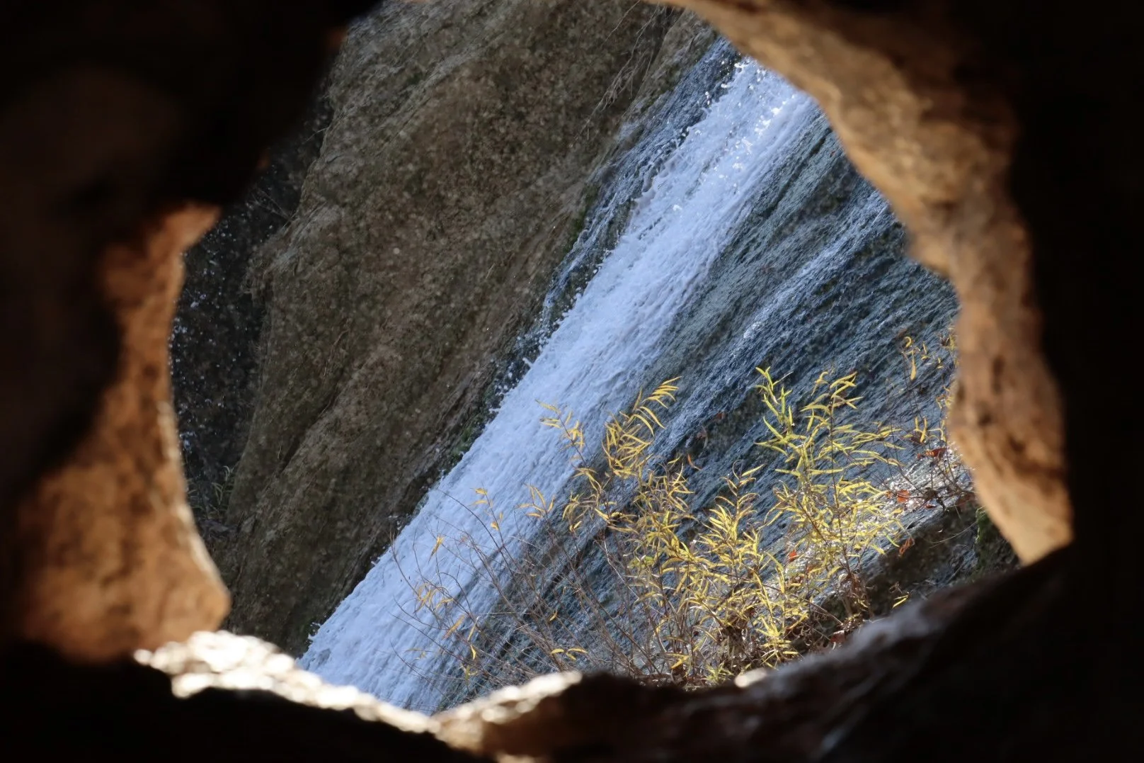 View of a waterfall and plants through a cave opening.