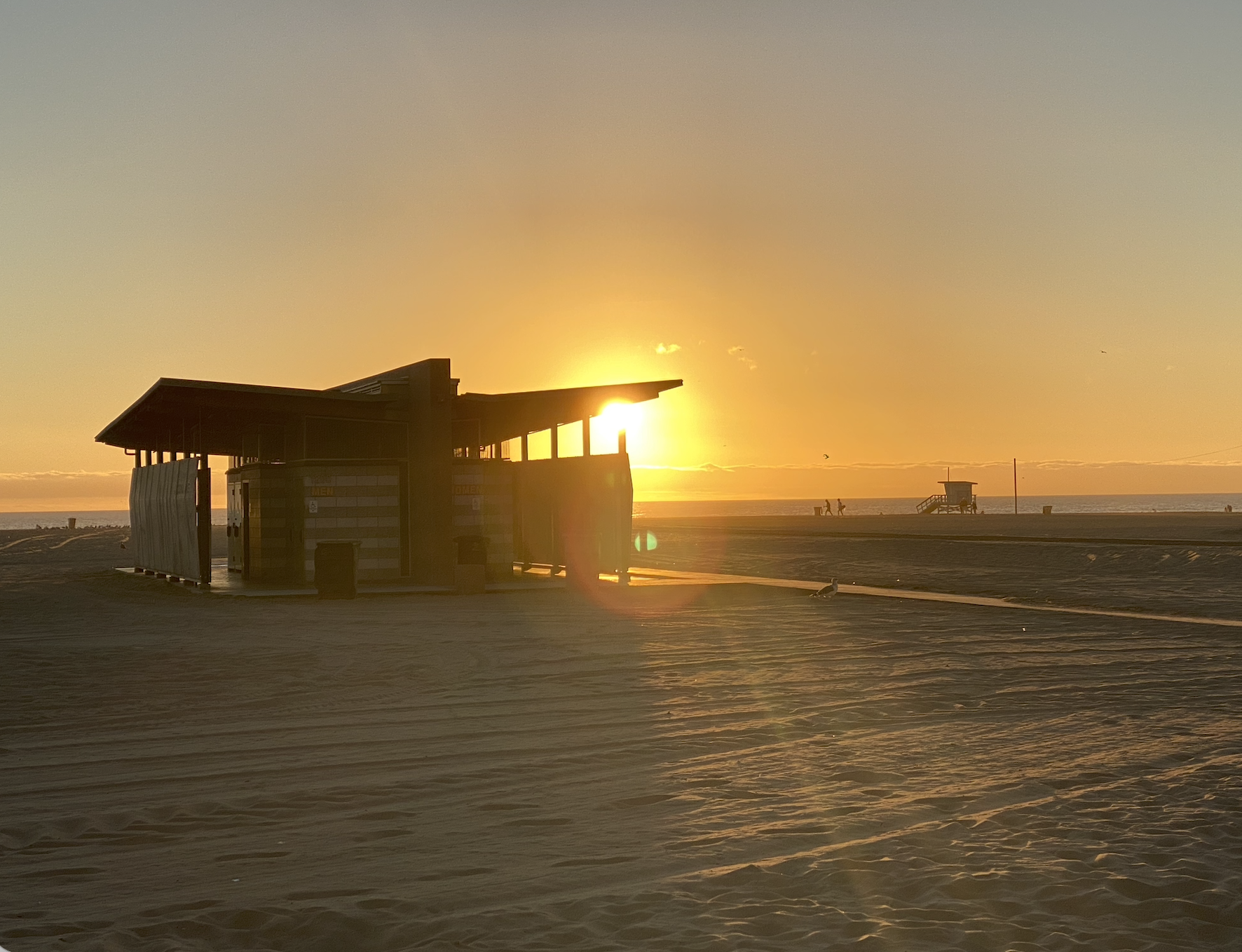 California Dreamin’