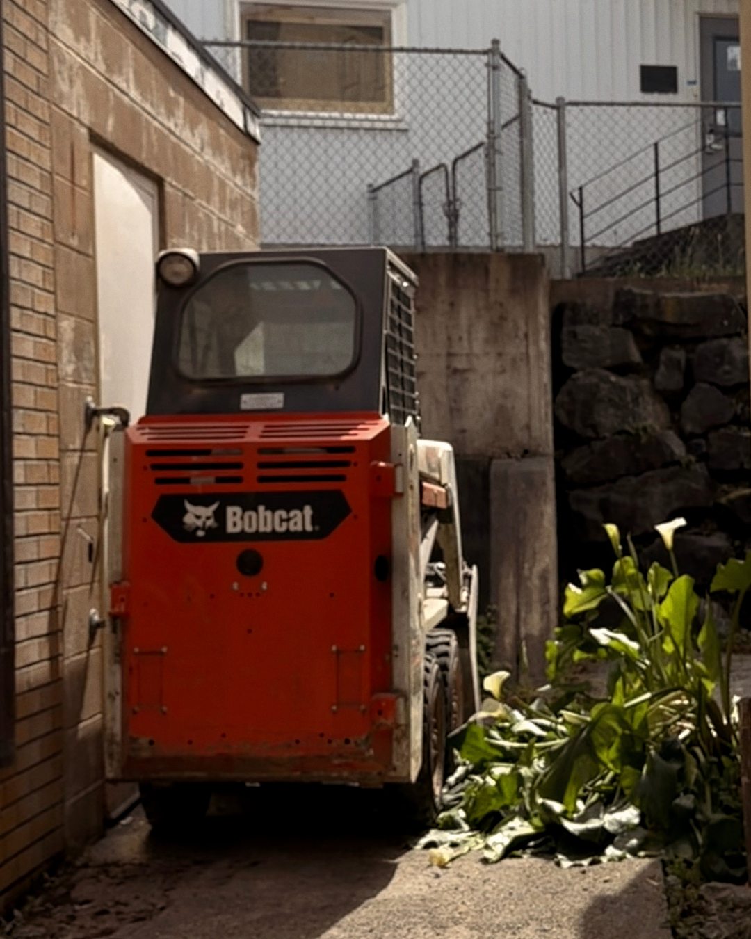 Our Services