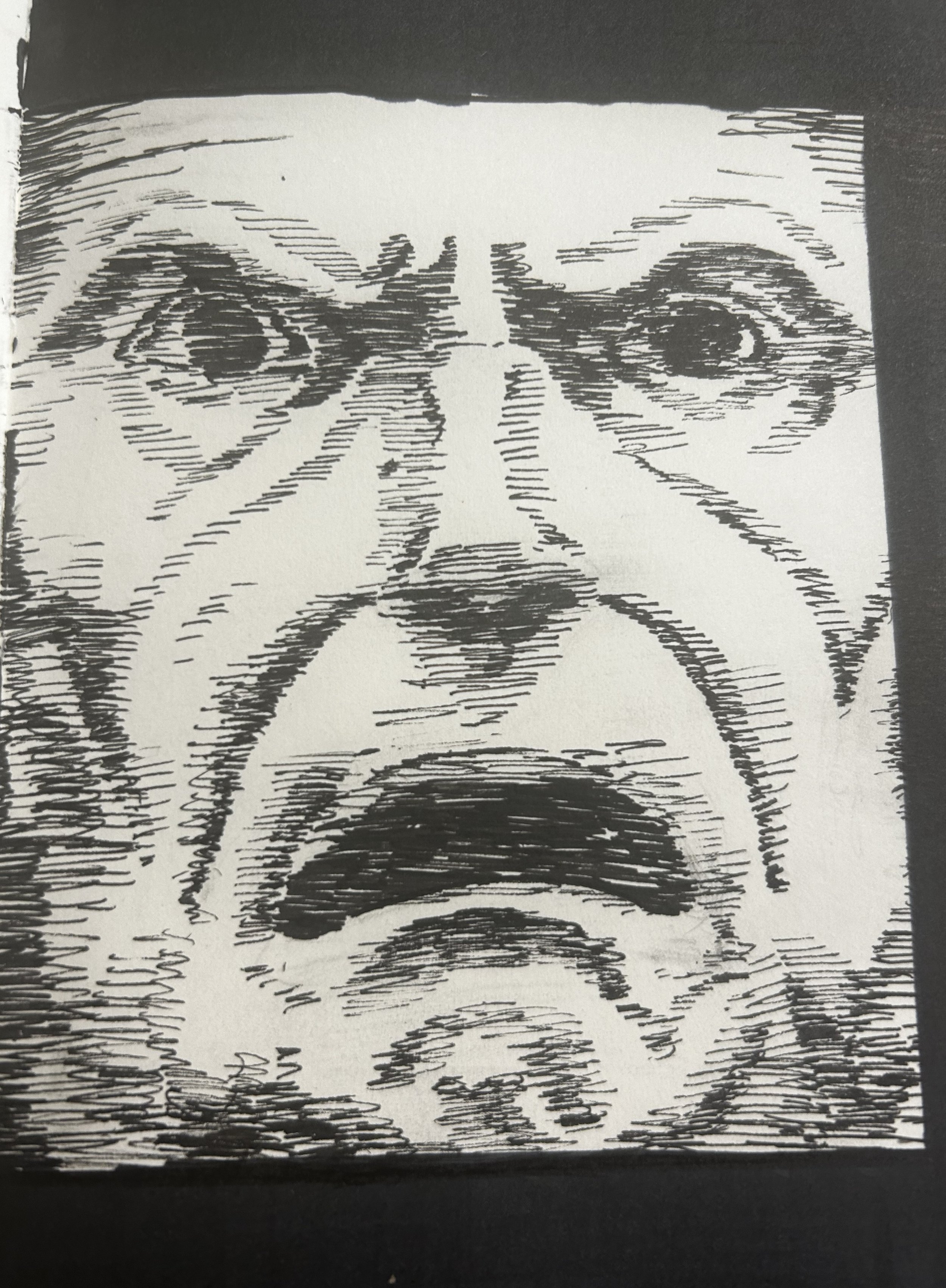 Black and white sketch of a human face reflecting in the water, showing the eyes, nose, and mouth.