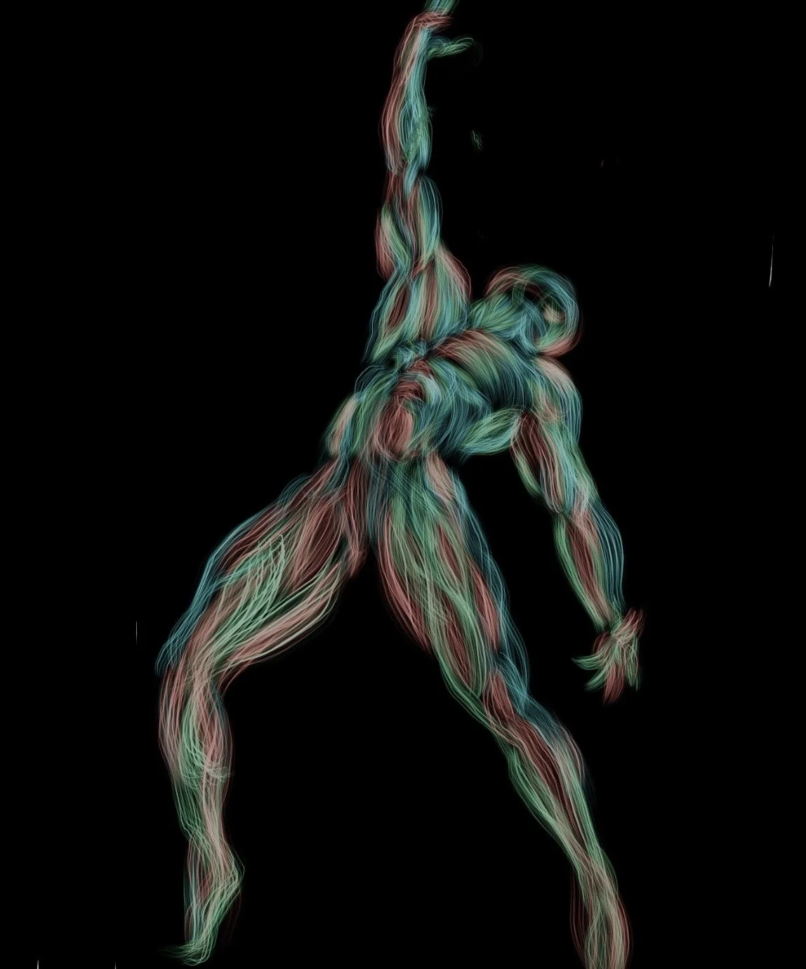 A digital illustration of a human figure made of colorful, flowing lines resembling muscles, set against a black background.