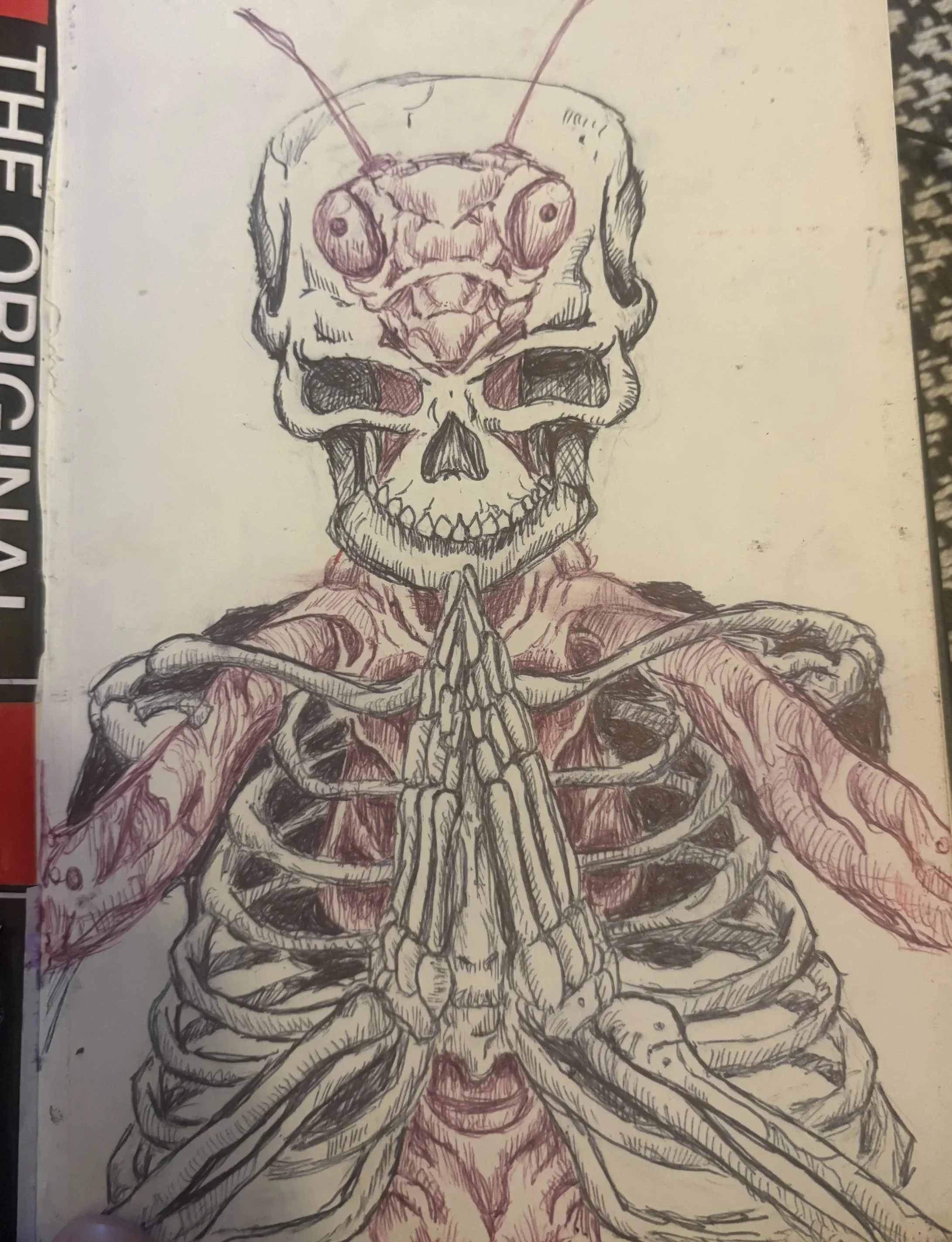 A detailed black and red ink drawing of a human skull with exposed bones and muscles, with a stylized insect-like creature on top, featuring large eyes and antennae.