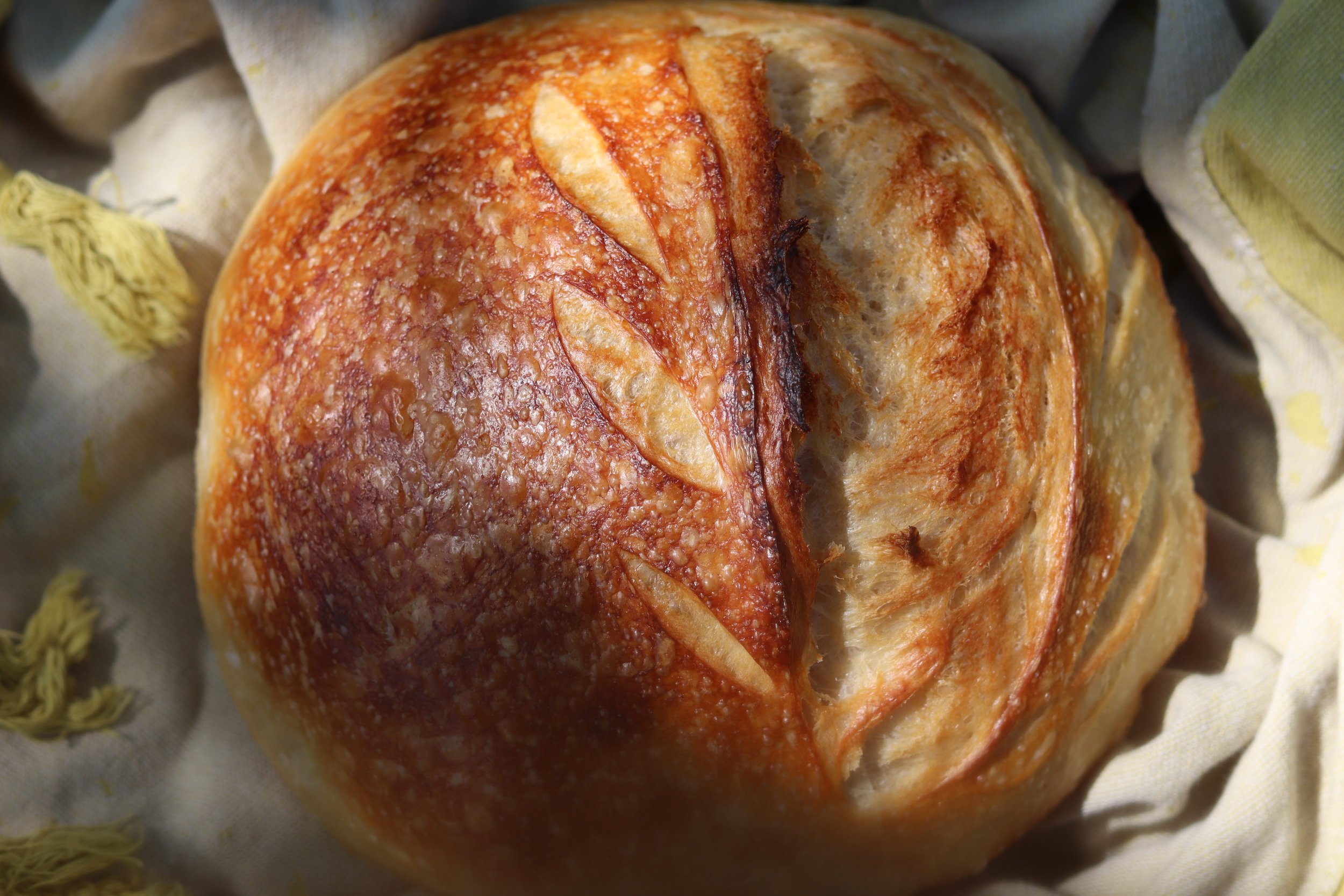Artisan Sourdough Loaf