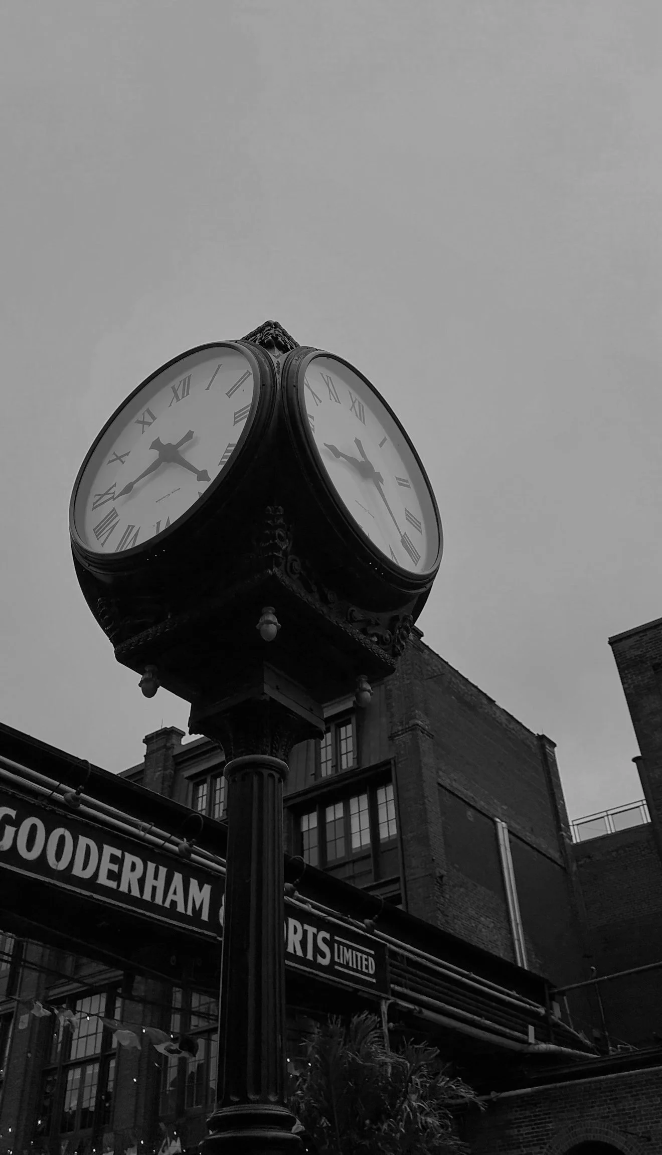 IMG_7712.JPG
