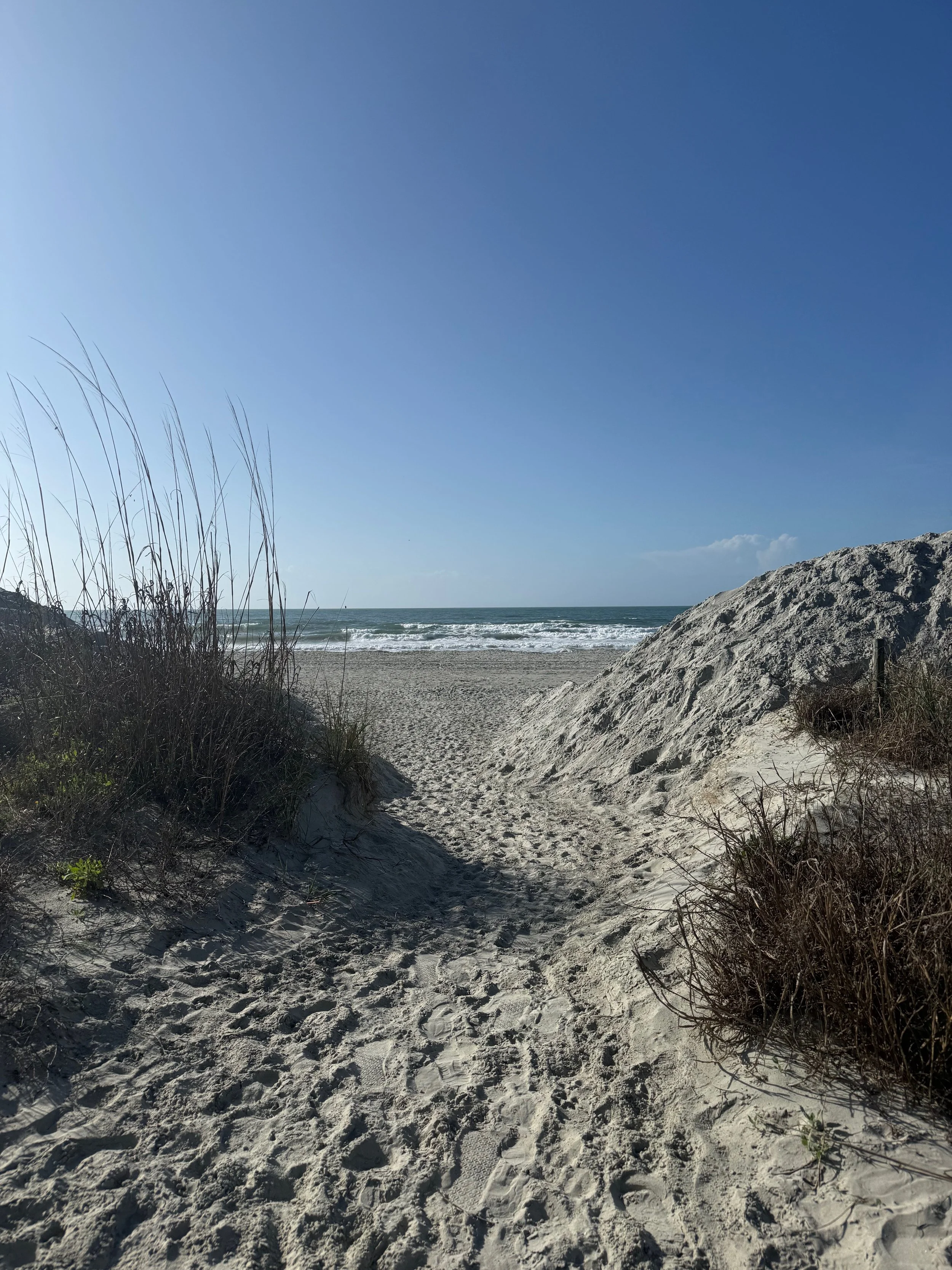 Day trips from North Myrtle Beach ~ Chapter 2 ~ Southport, NC