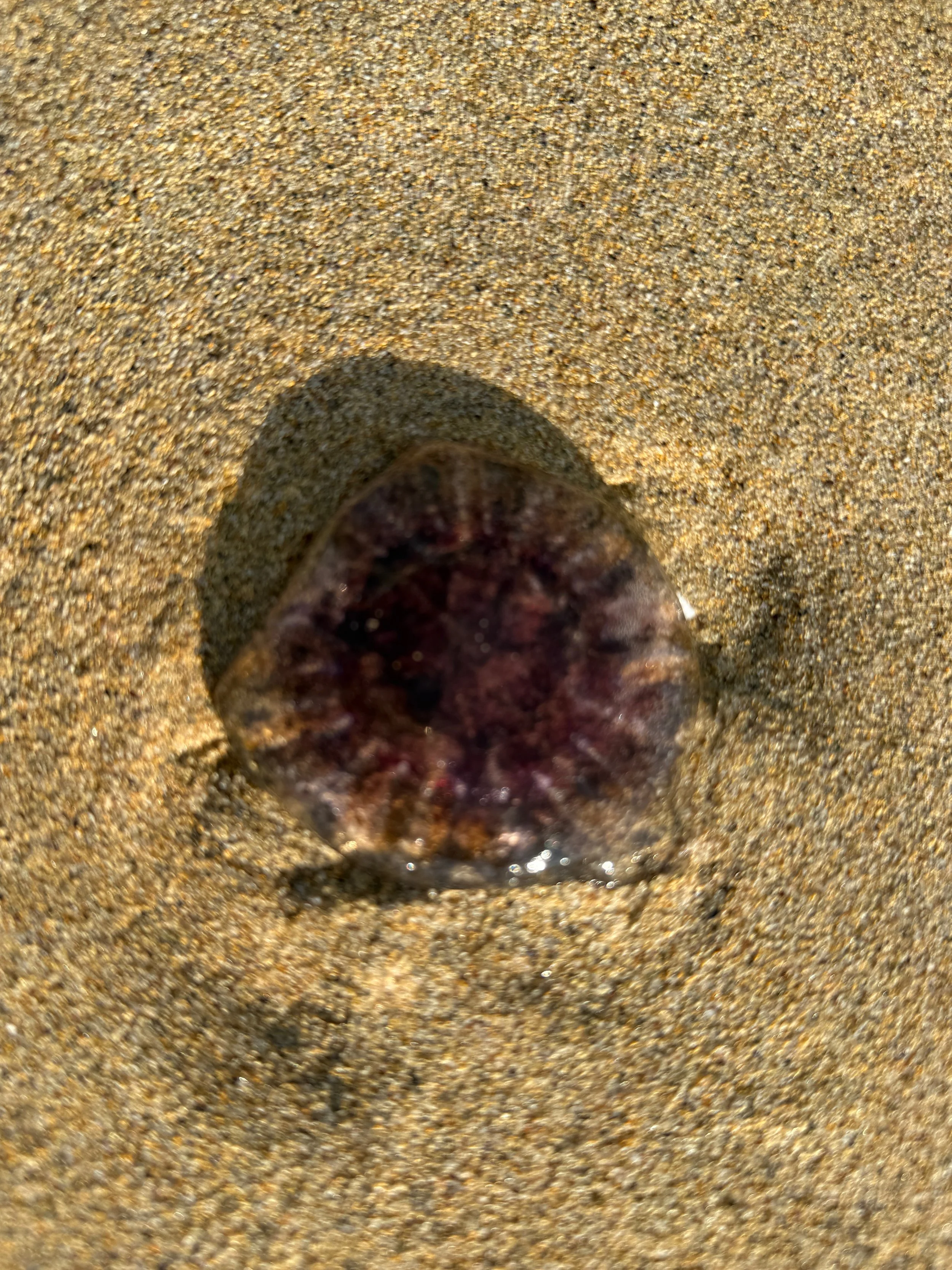 IMG_5769.jpeg
