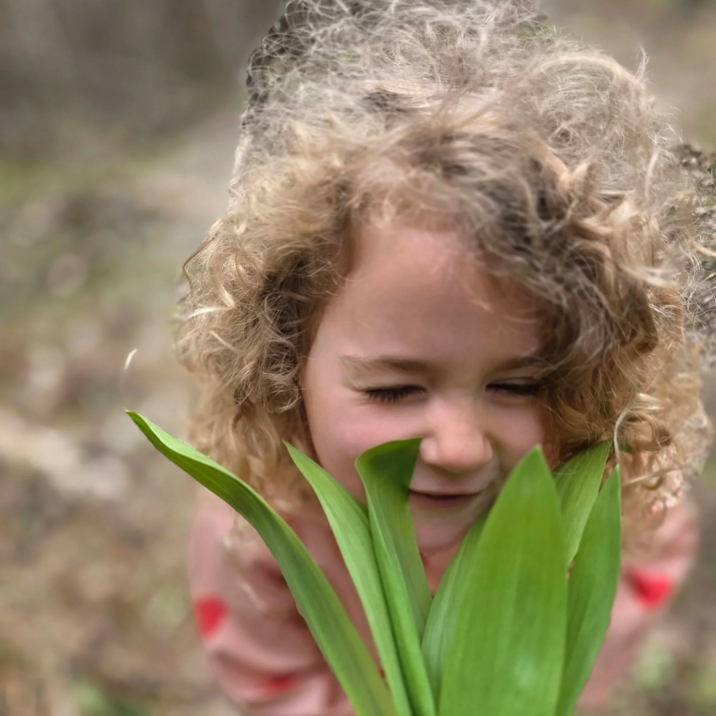 A person with curly hair holding green wild ramps, freshly forged along the Niagra escarpment near Kimberly Ontario.