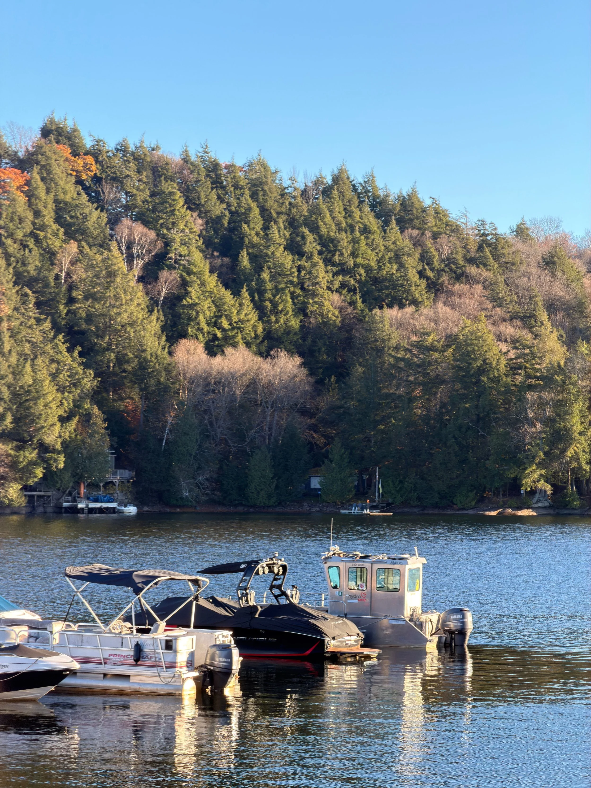 Boats docked at a marina with a forested hillside and blue sky in the background.