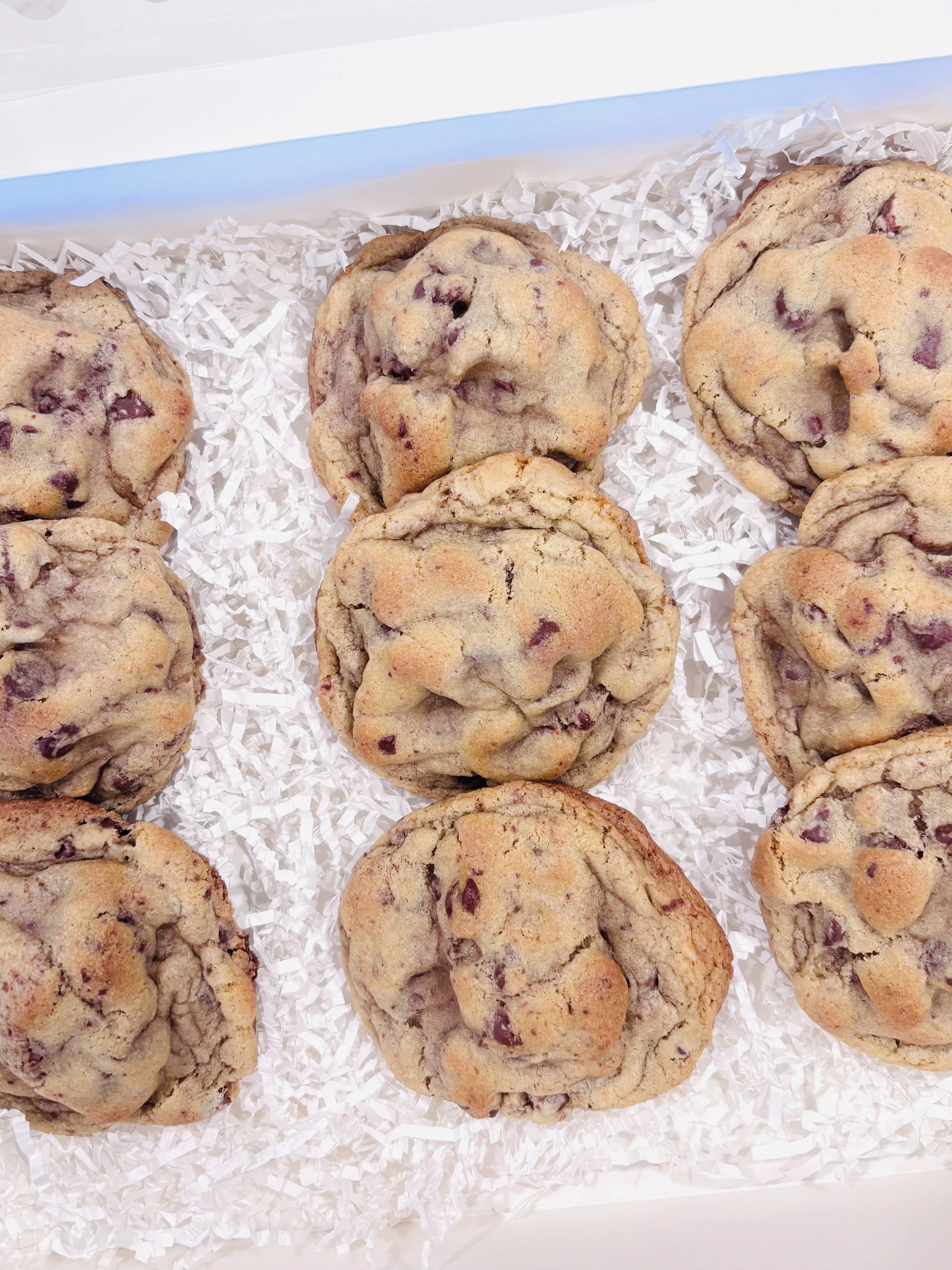 chocolate chip_top.jpeg