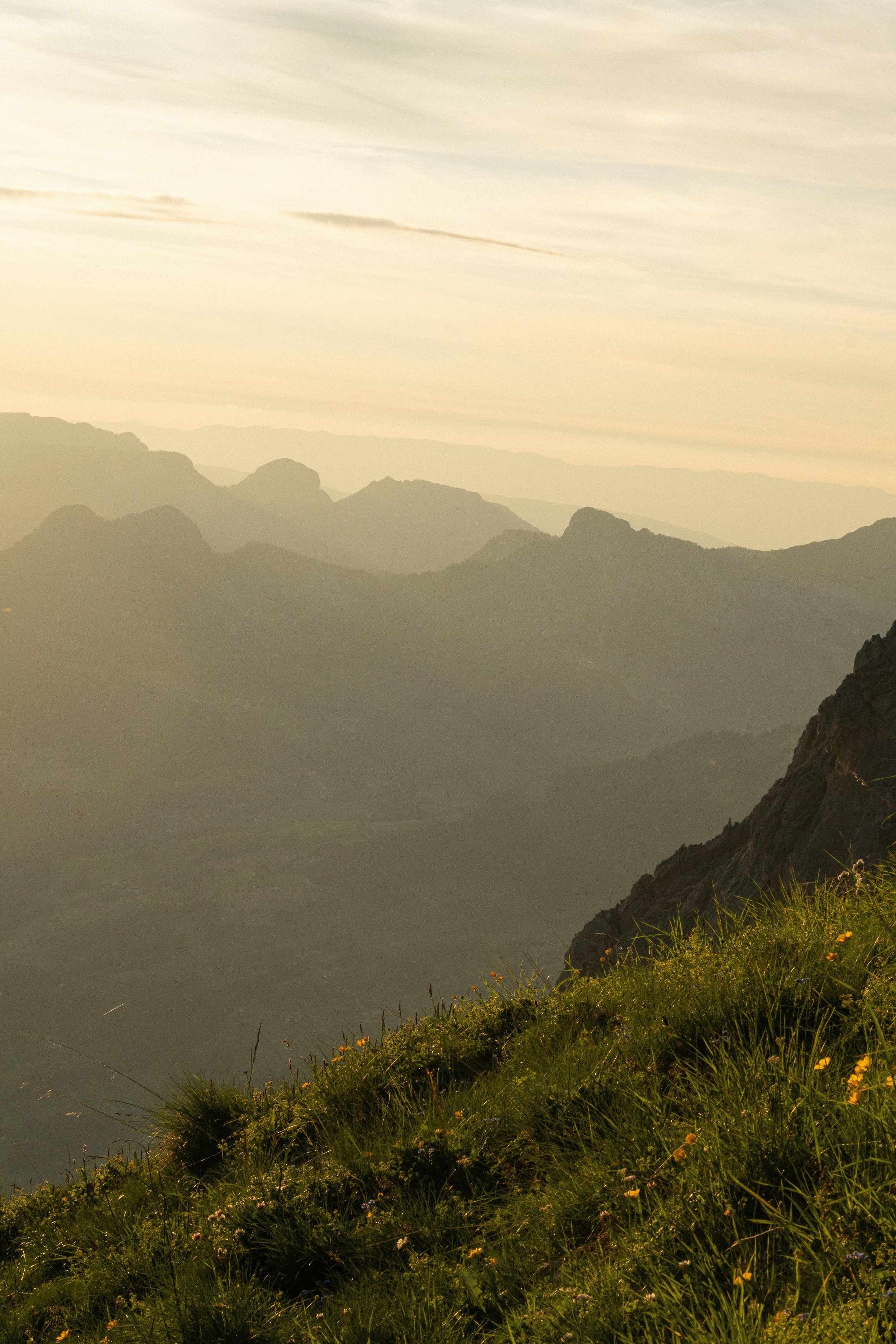 A landscape of mountains with three layers of distant mountain ranges under a lightly clouded sky, with some grasses and small flowers in the foreground.
