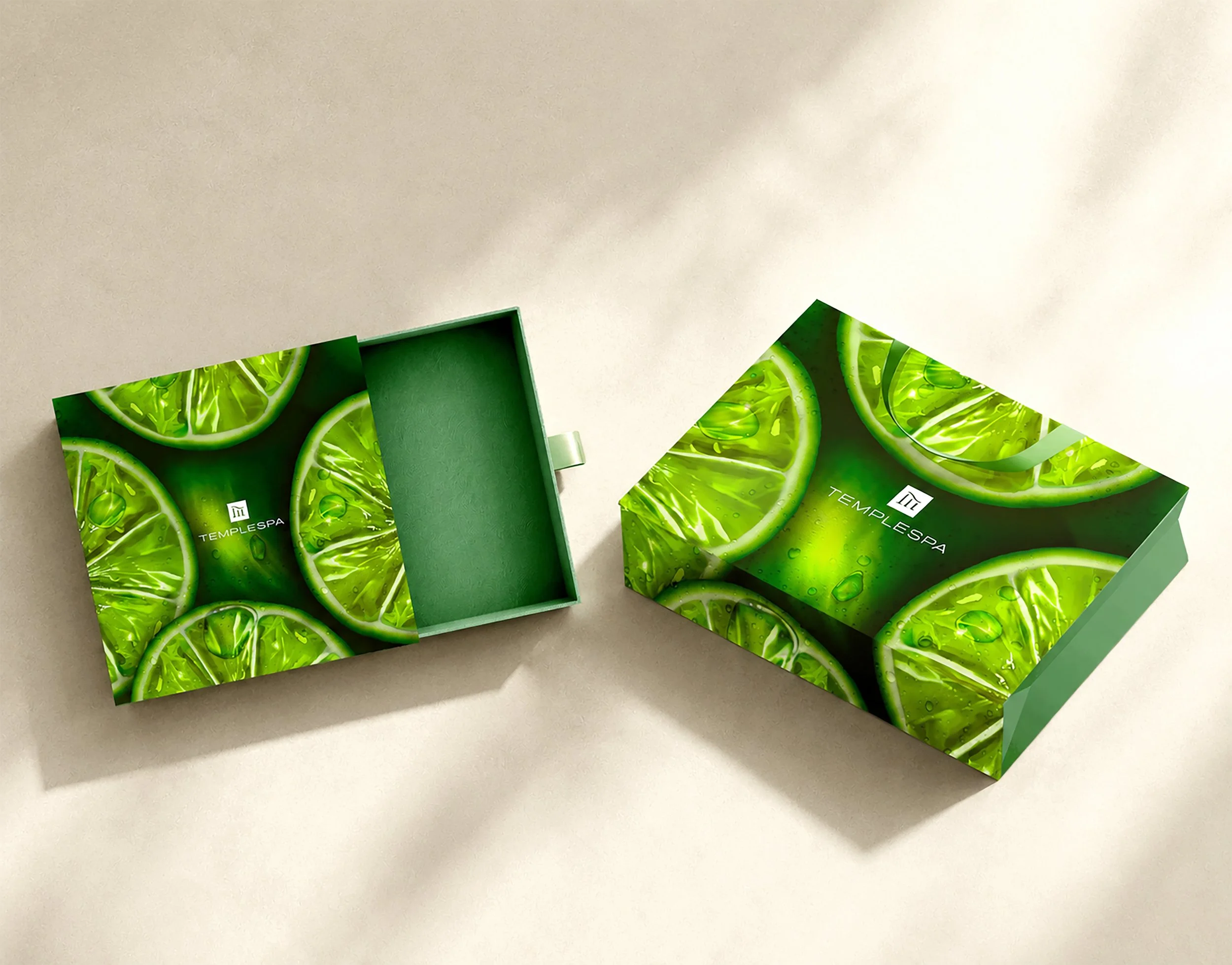 TS_GIFT BOX & BAG CONCEPT.jpg