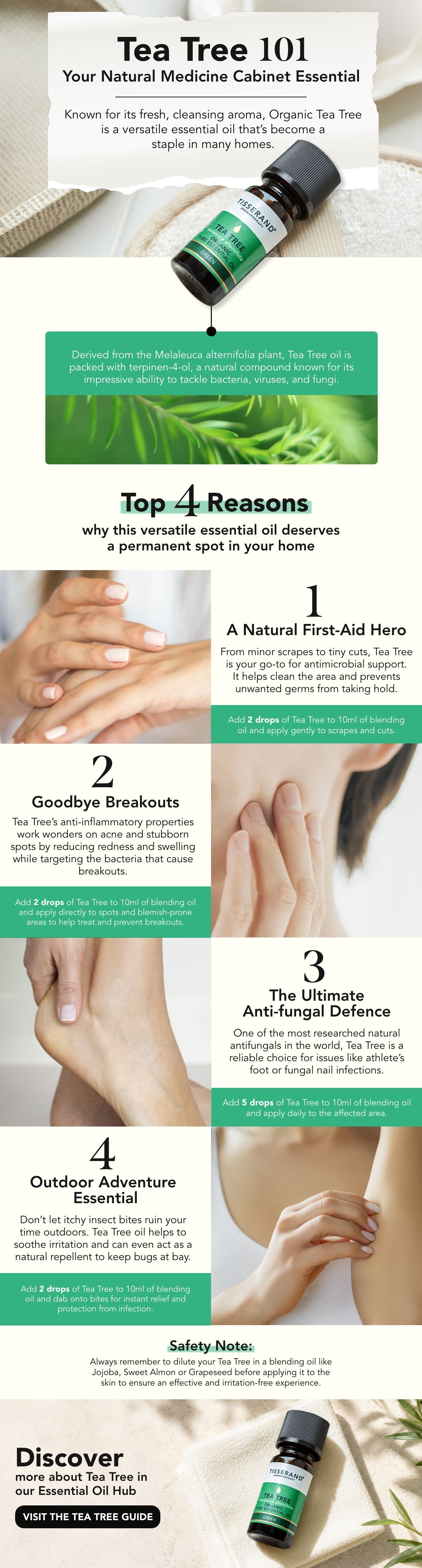 TT BEGINNERS GUIDE_FULL IMAGE.jpg