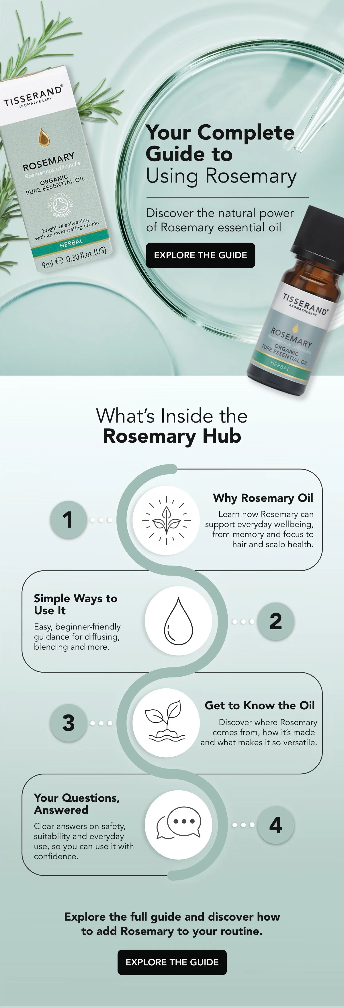 ROSEMARY.jpg