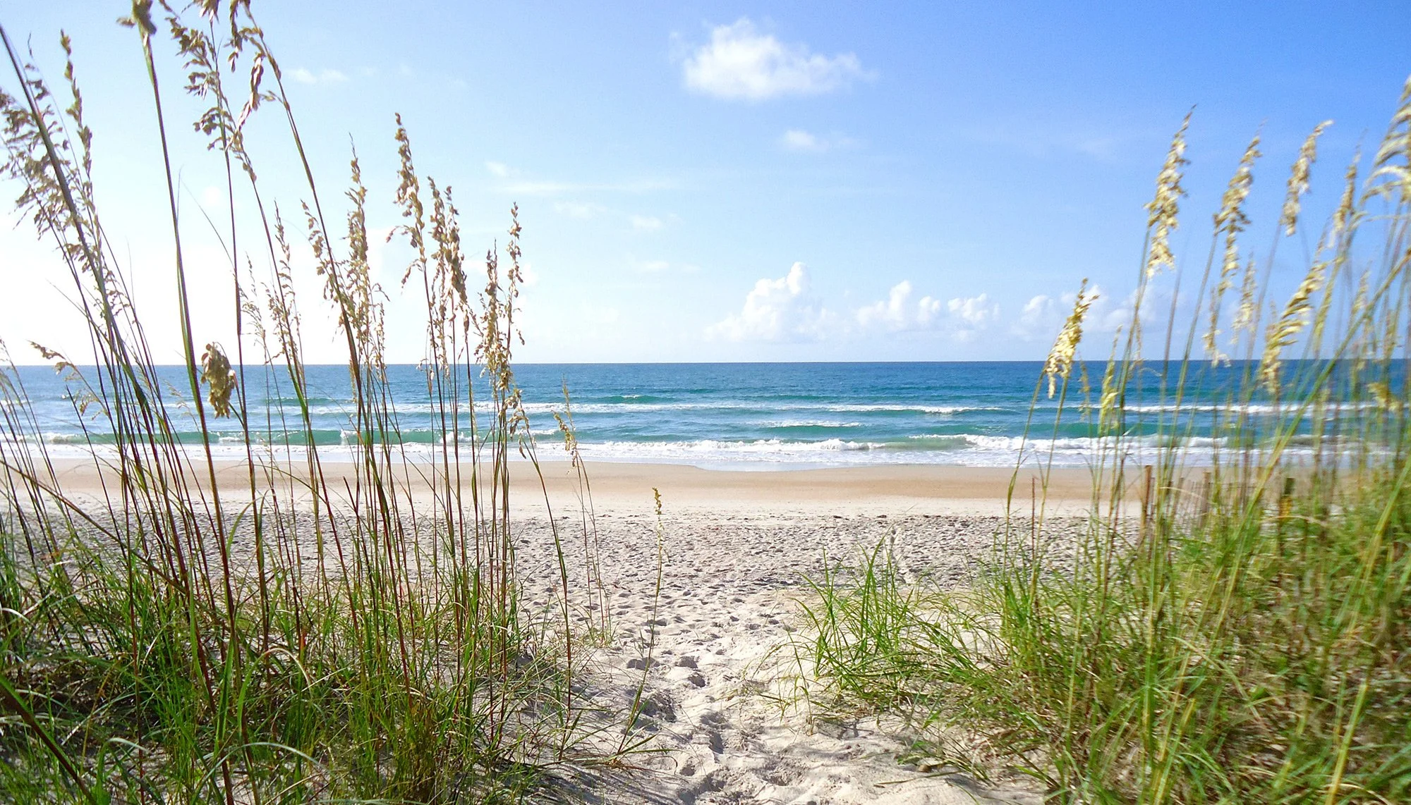 ocean-grass-beach.jpg