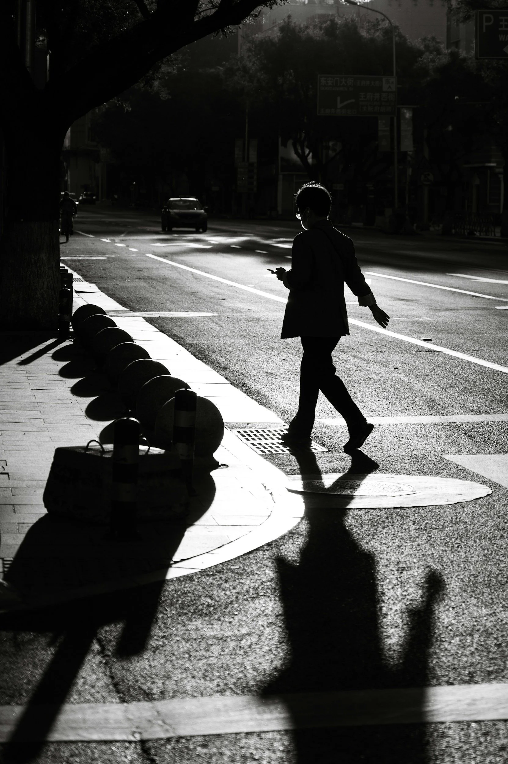 A person walking on a sidewalk next to a street with cars, reflected in the wet pavement, in a city setting during daytime with shadows cast by trees and buildings.